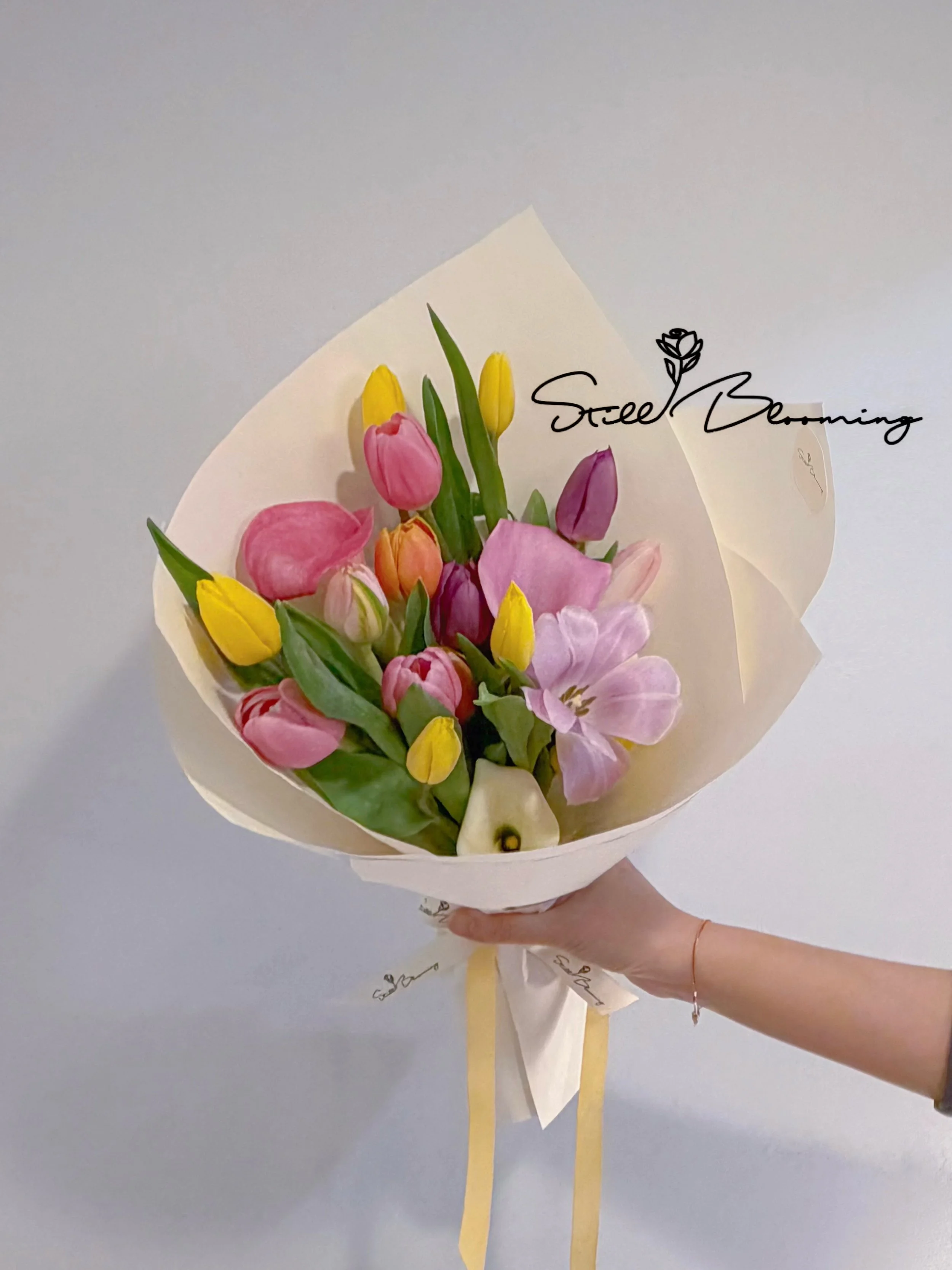 Tulip Song