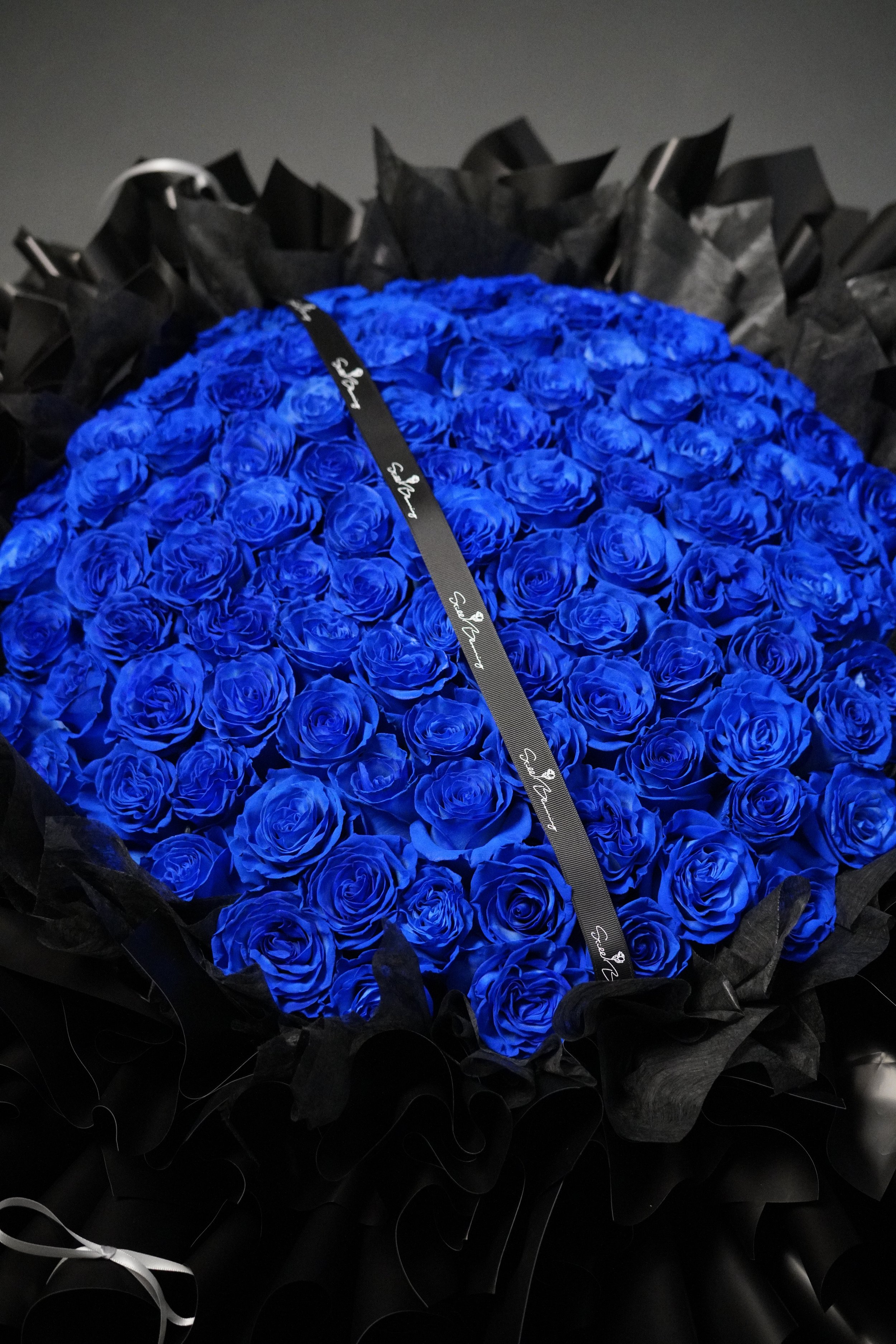 Sapphire Rose