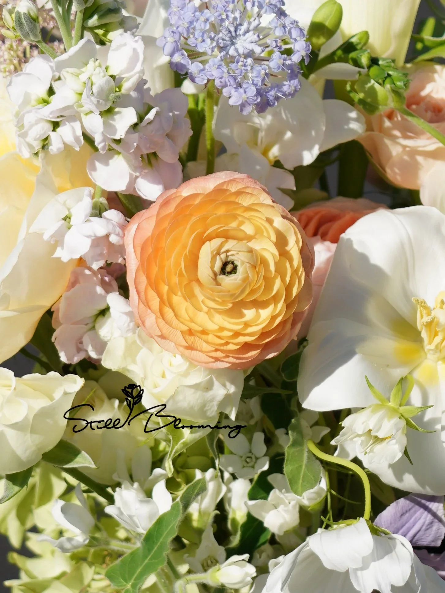 Details.webp