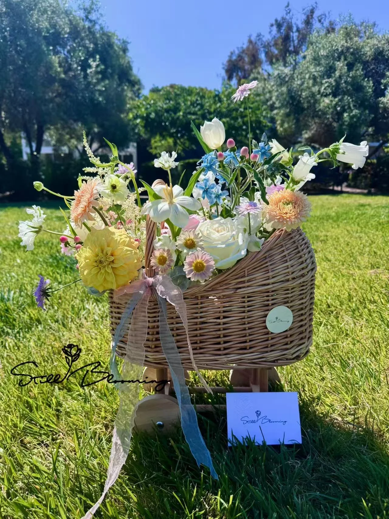Baby in Bloom Package