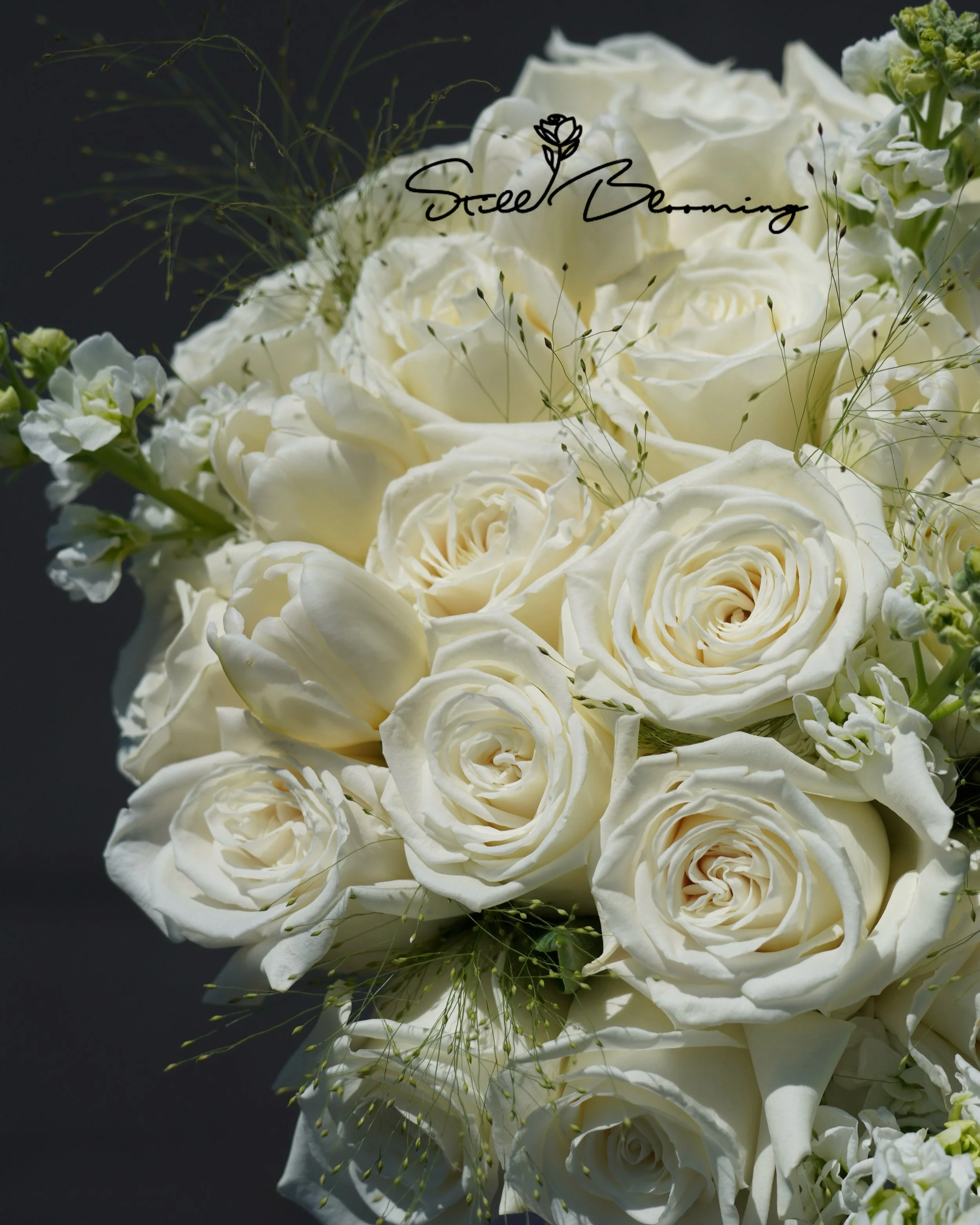 IMG_3831.png