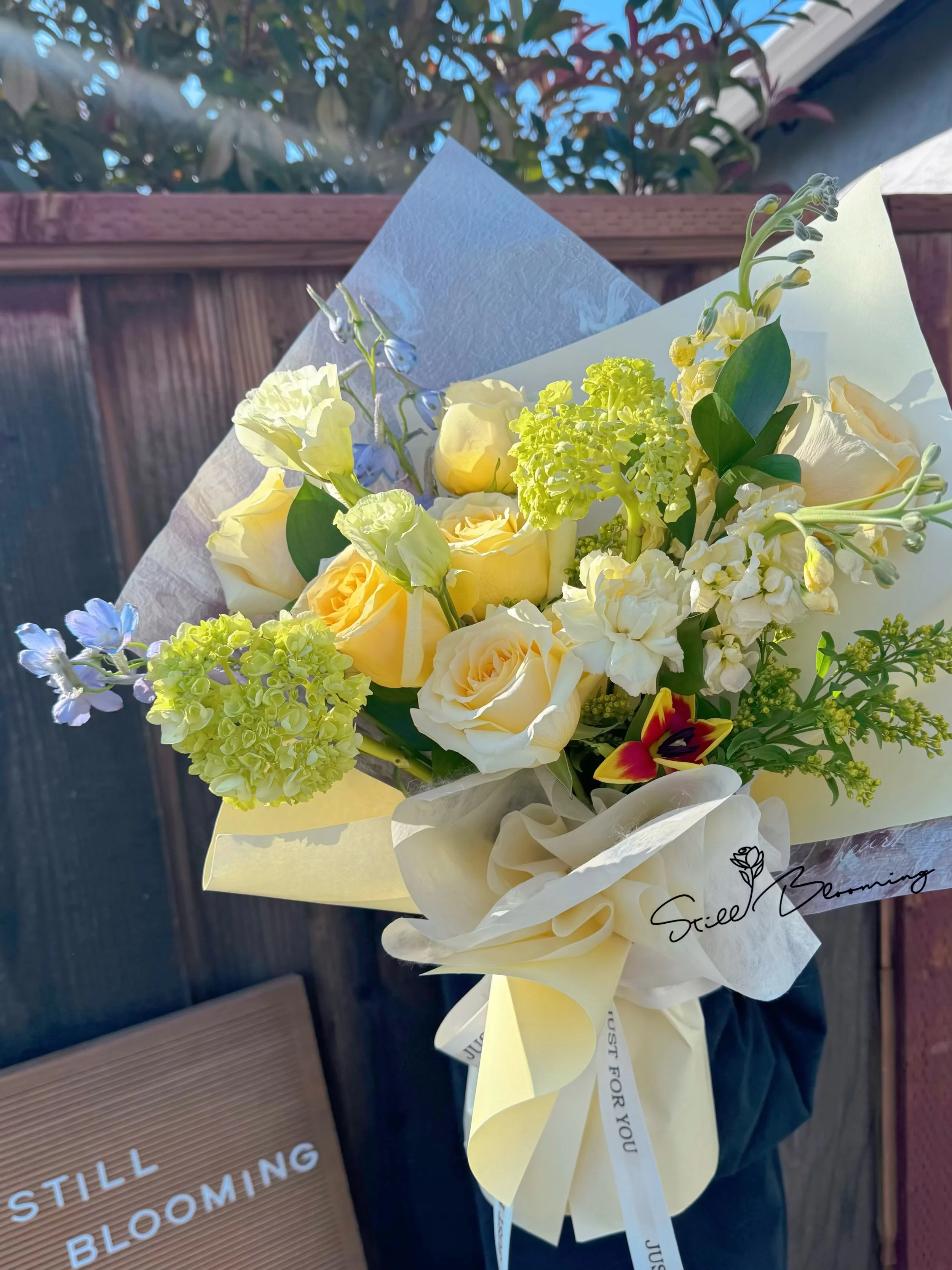 Classic_Medium_3.jpg (Copy)