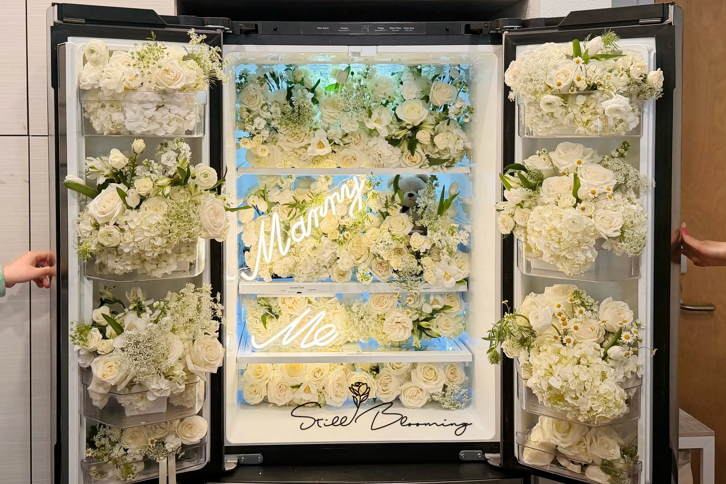 Refrigerator Surprise Package