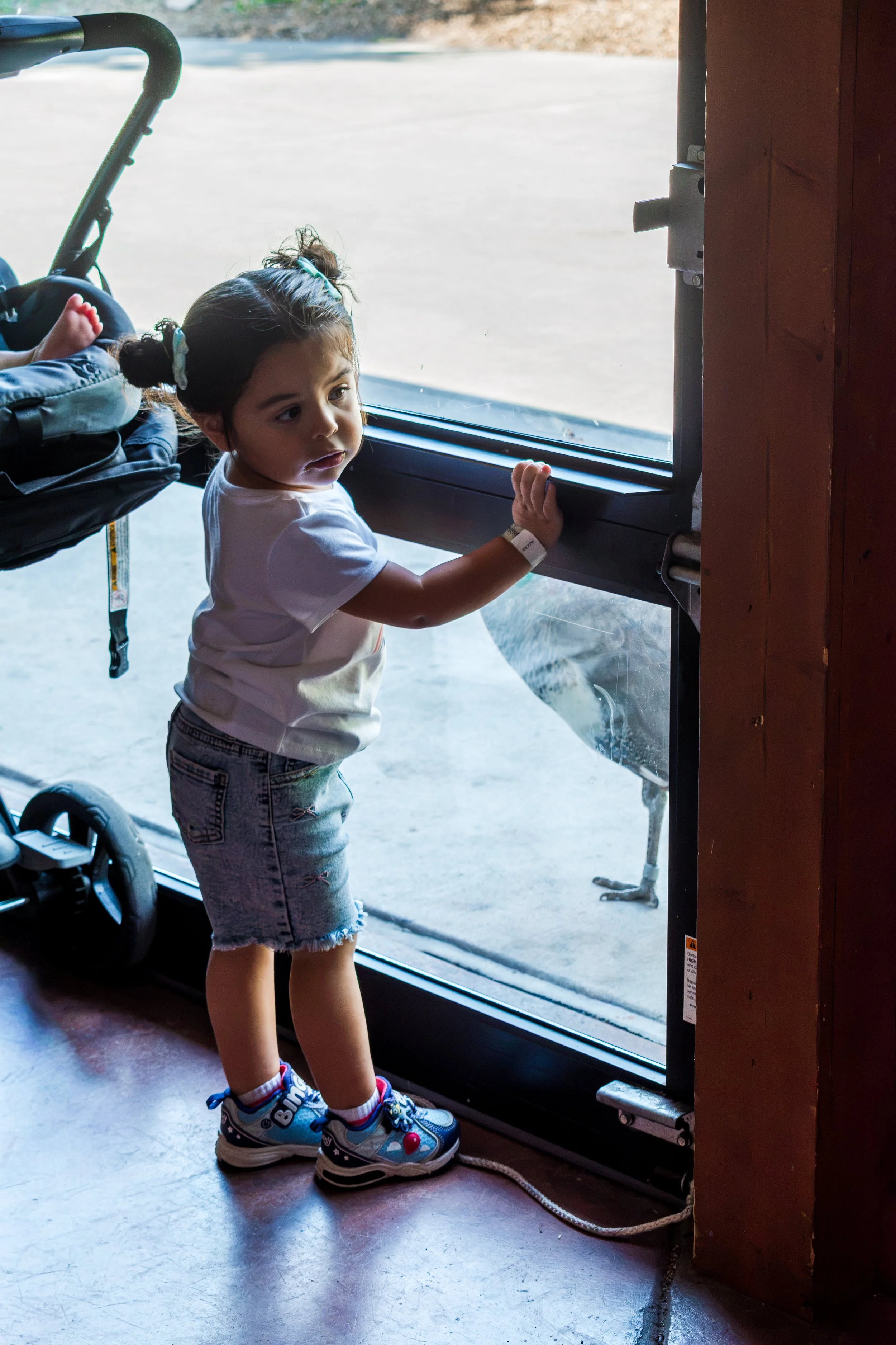 AvelQuintana_1YearOldBirthdayParty_FinalGallery-45.JPG