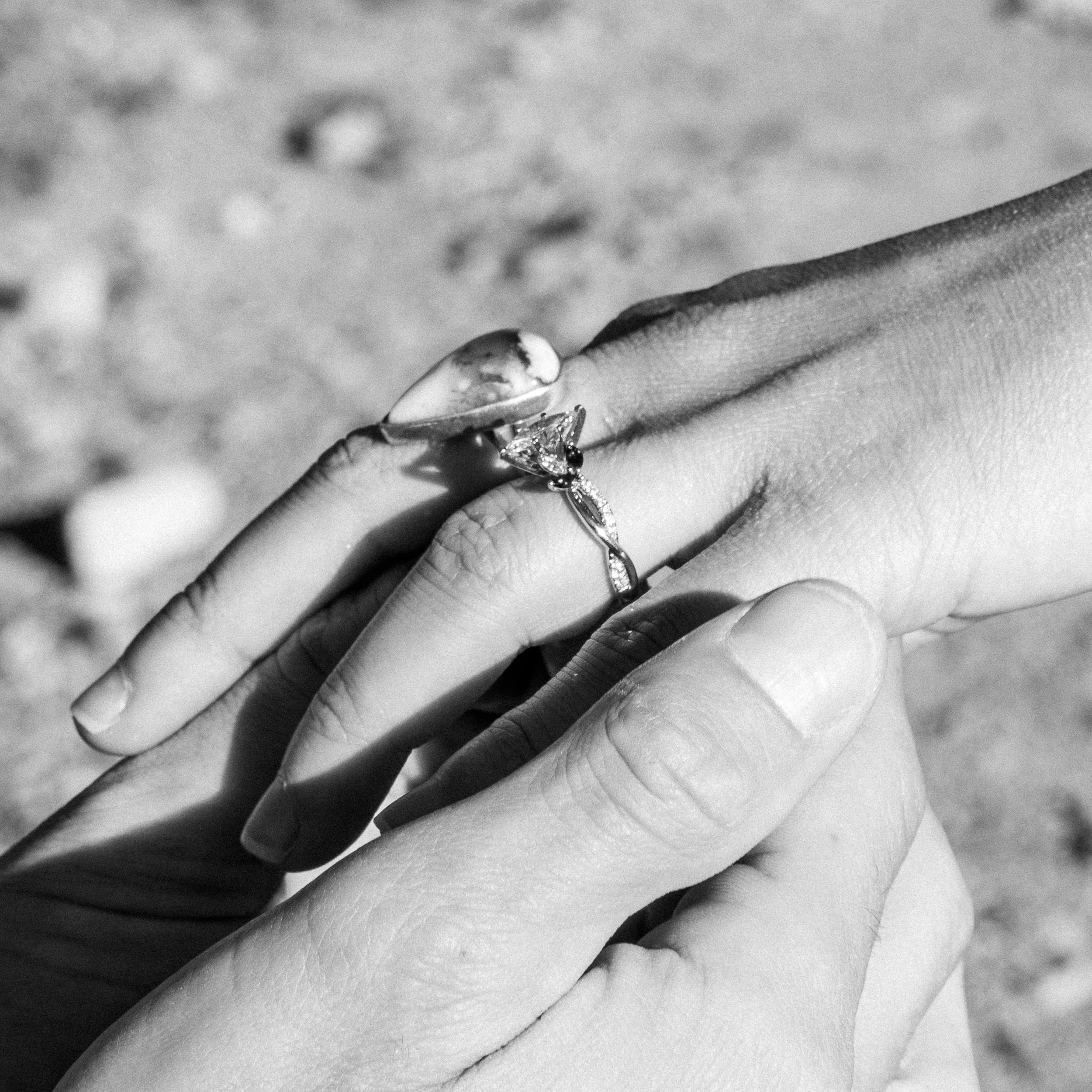 Avrie & Andrew_SurpriseProposal_FINALGALLERY_WEBSITE-90.JPG