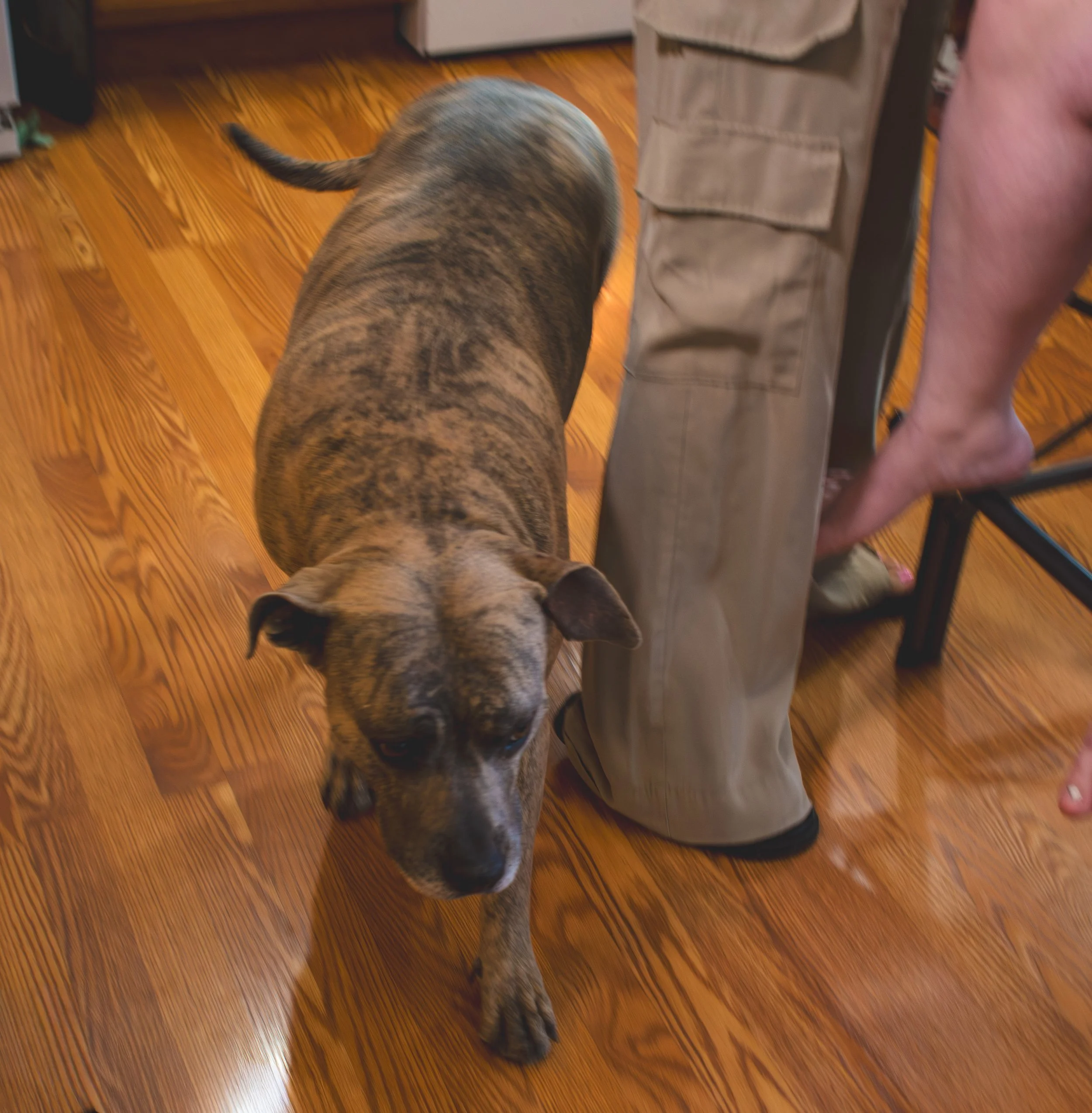 Kaylee&JonathanLamorie_WeddingGallery-43.JPG