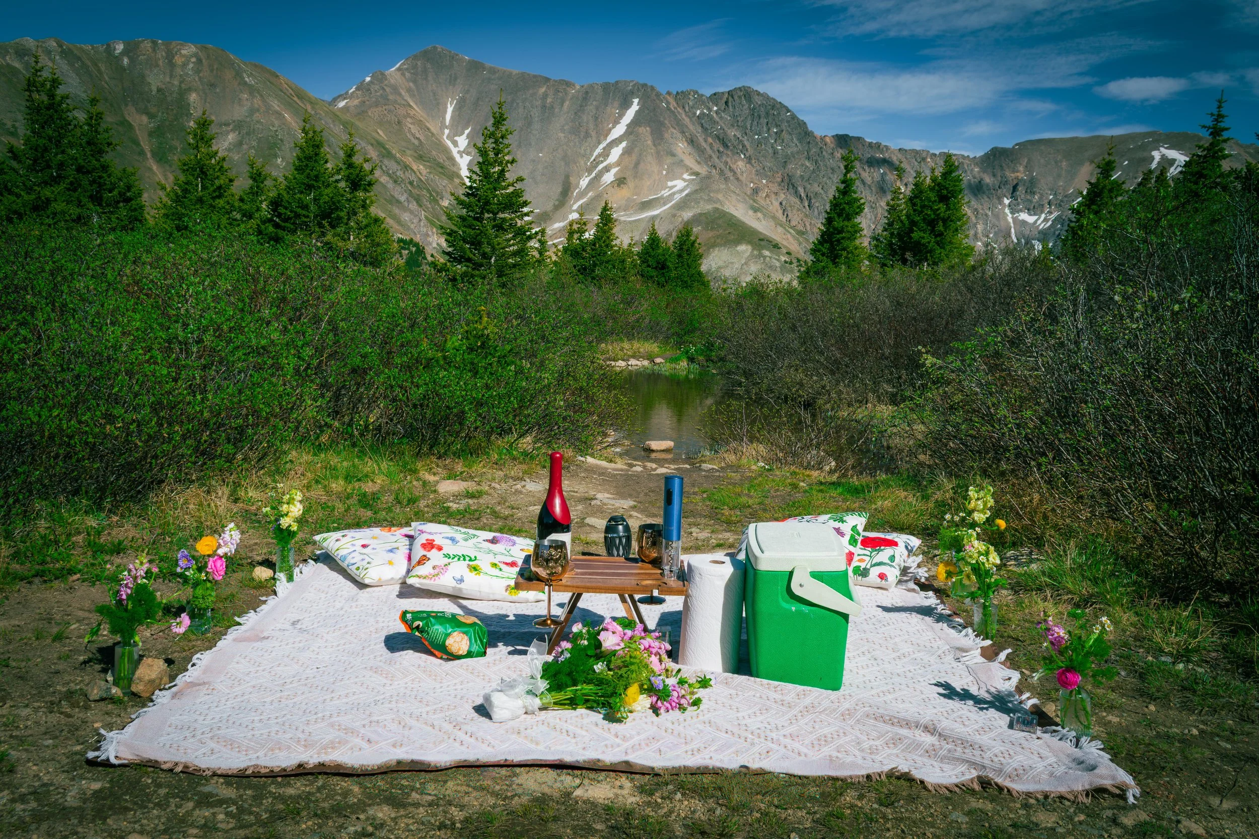 Avrie & Andrew_SurpriseProposal_FINALGALLERY_WEBSITE-1.JPG