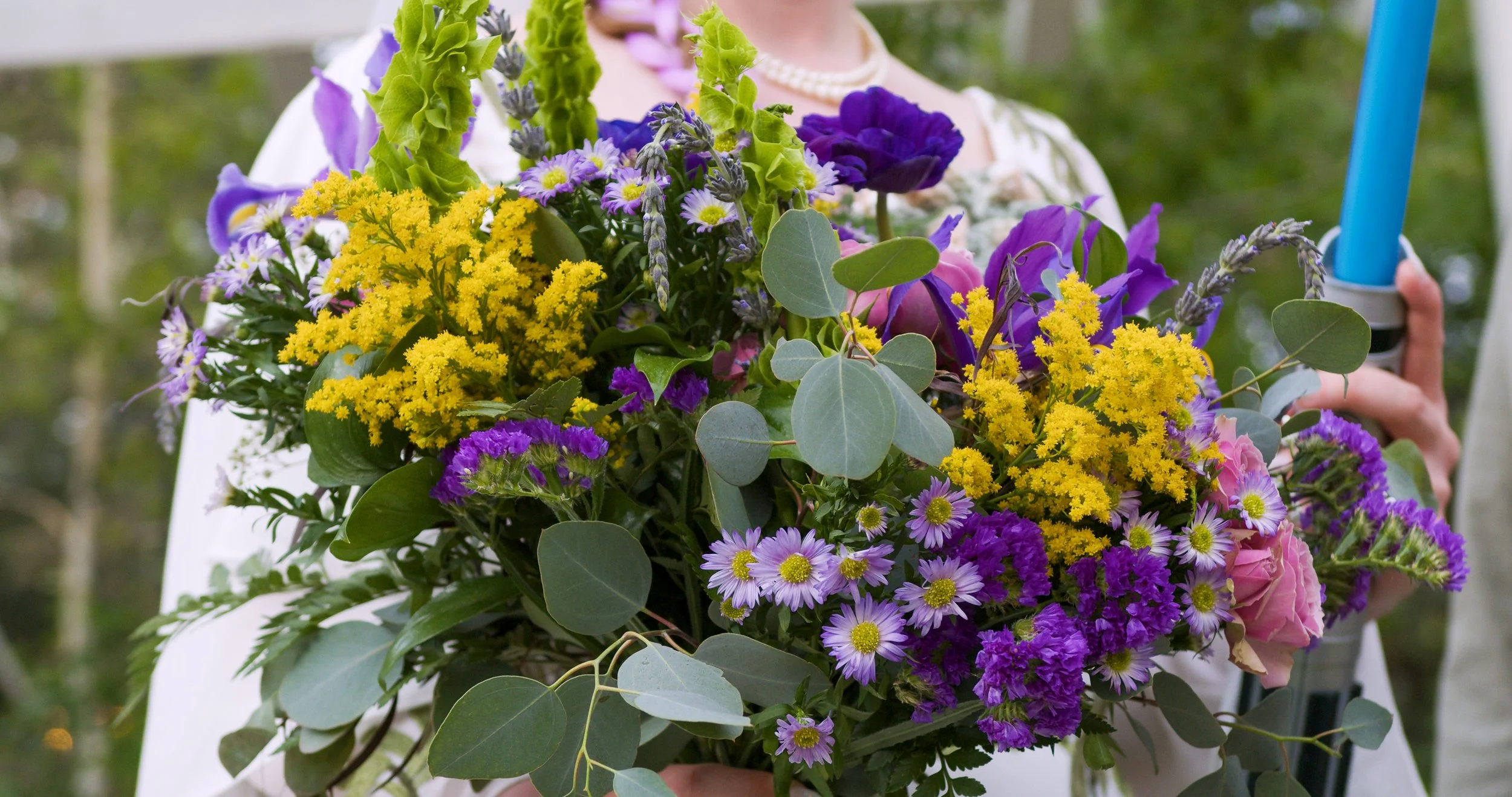 nature photos-4-2.jpg