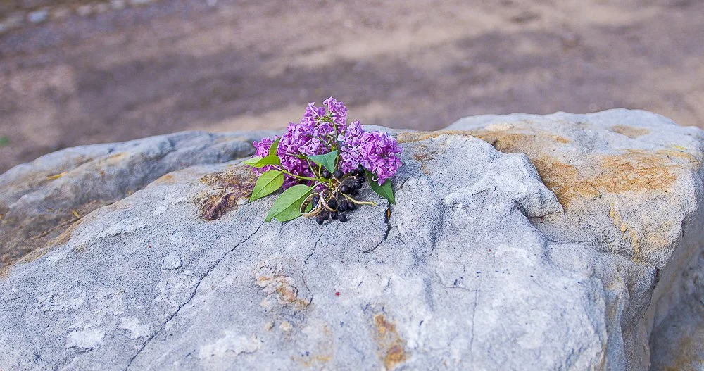 nature photos-1-5.jpg