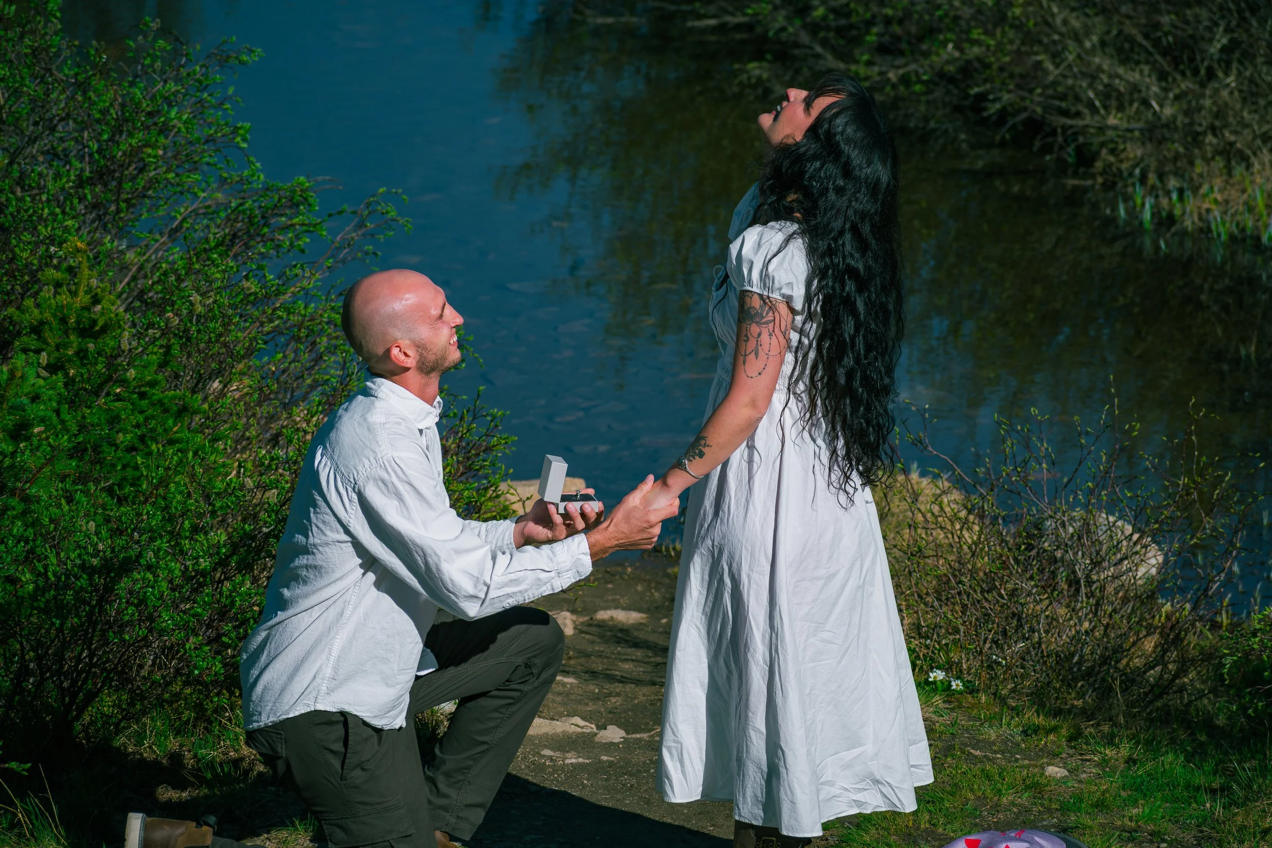 Surprise Proposal - Avrie & Andrew