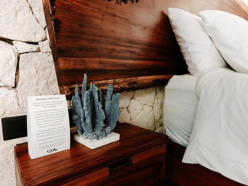 Villa Agua 3.jpg (Copy)