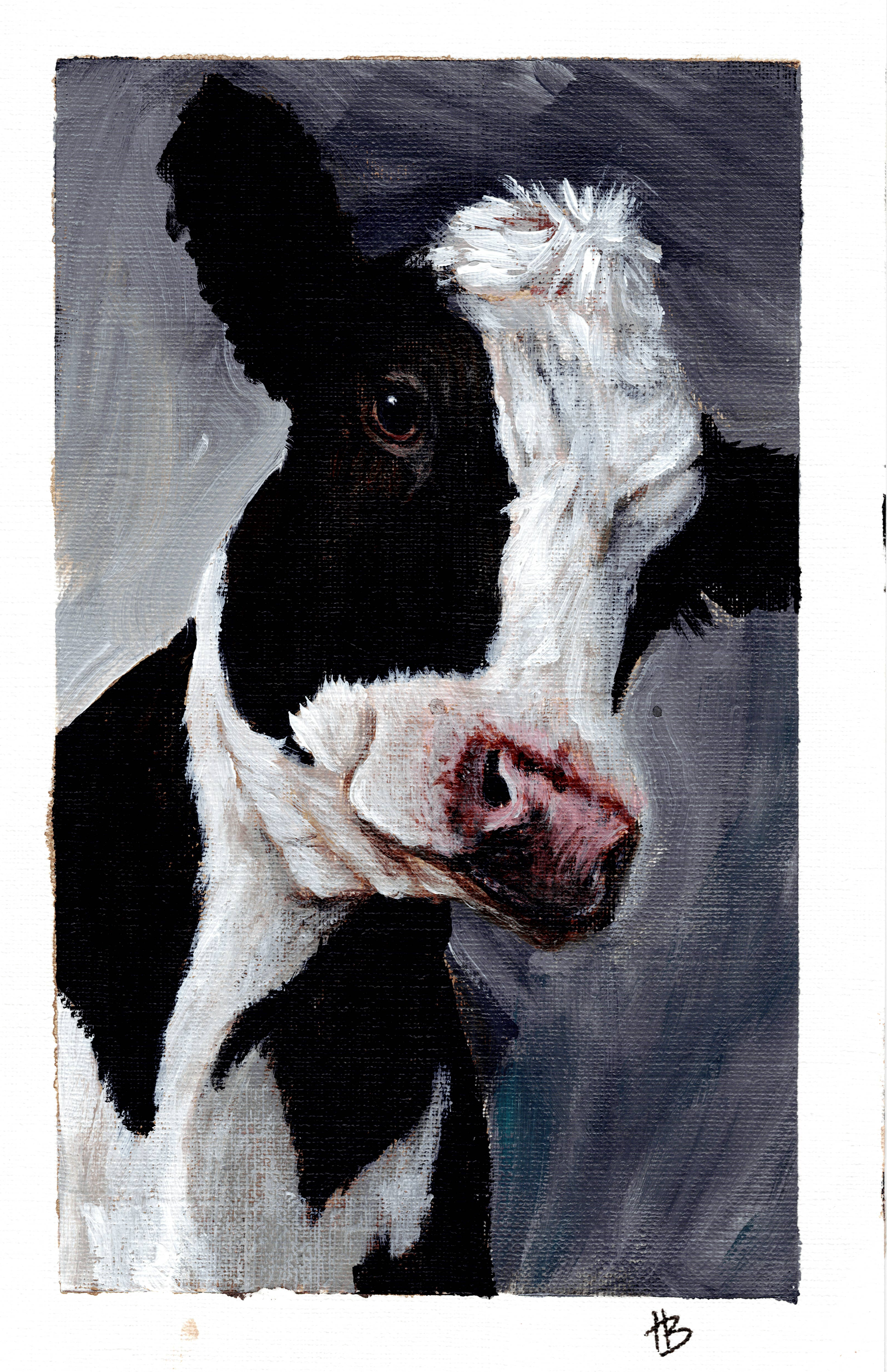 Cow Scan Cropped.png