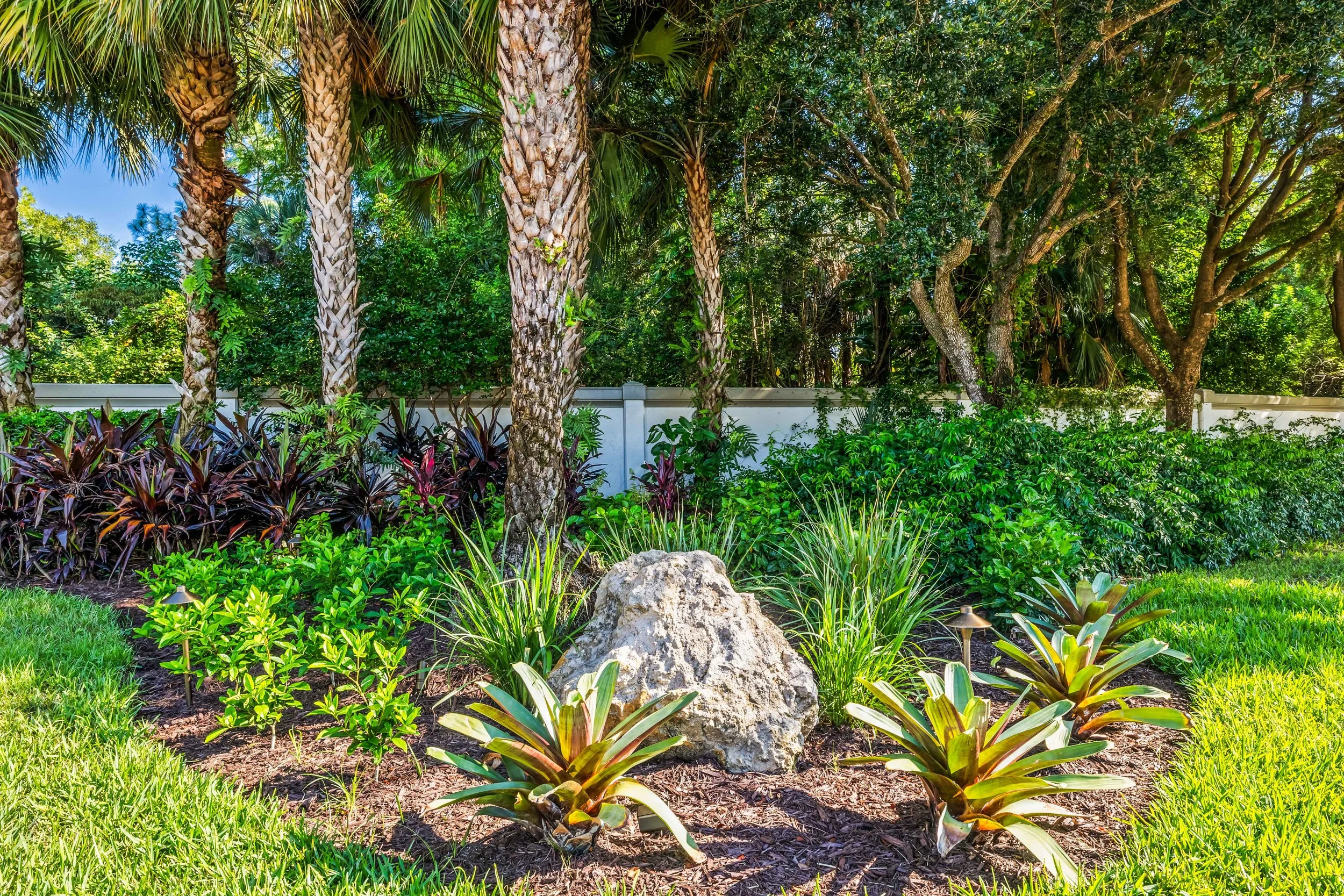 Luxury tropical landscape bed with ornamental boulders, bromeliads, and native palms.