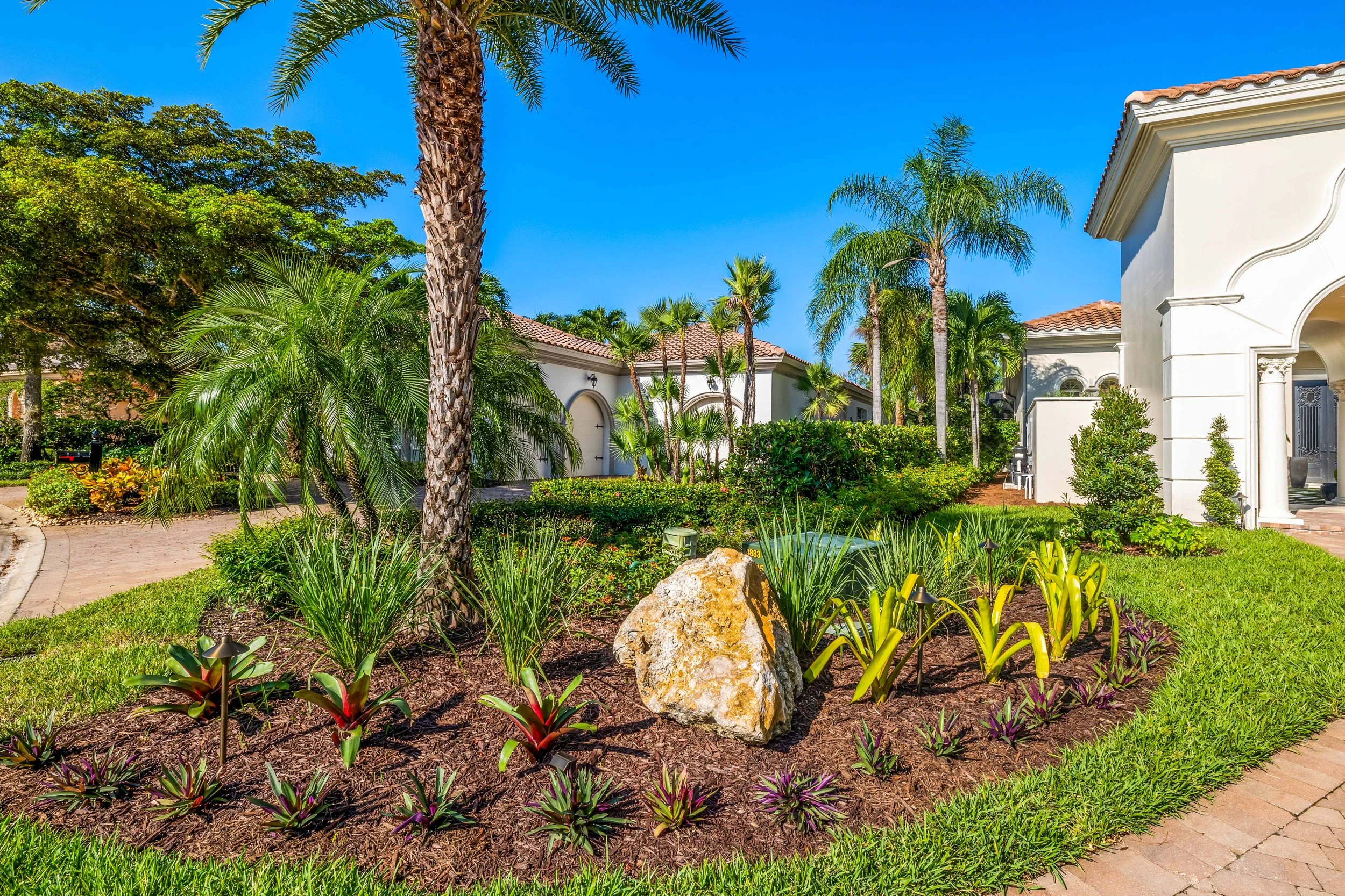 Palm-forward landscape with ornamental rocks and tropical foliage in a luxury garden setting.