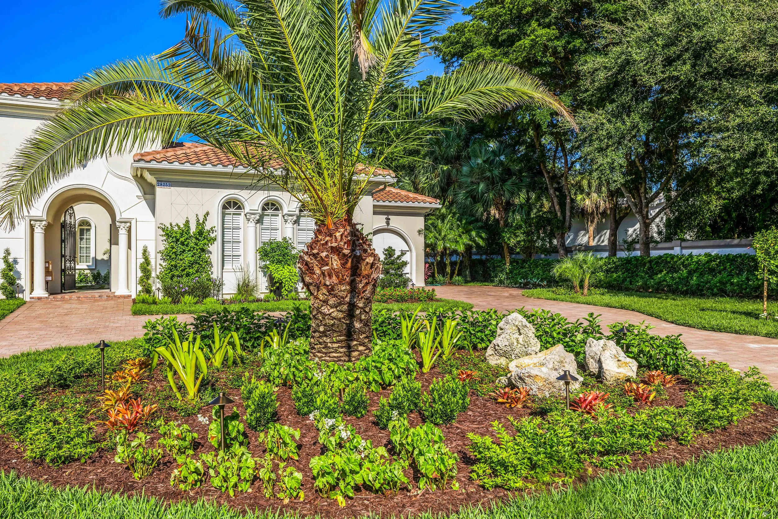 Elevated tropical foundation planting with palms, crotons, and deep green hedges.