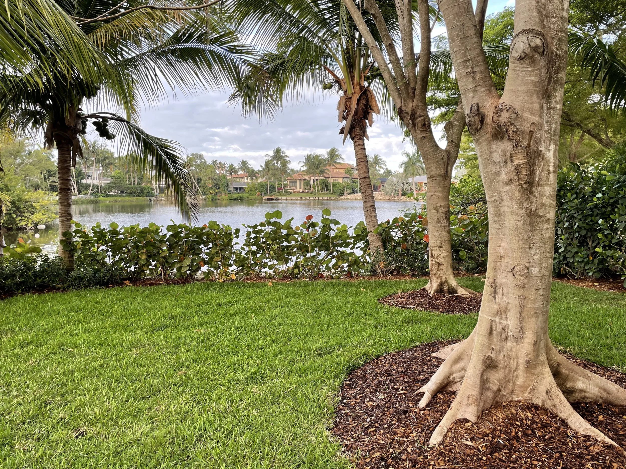 Waterfront Magic
