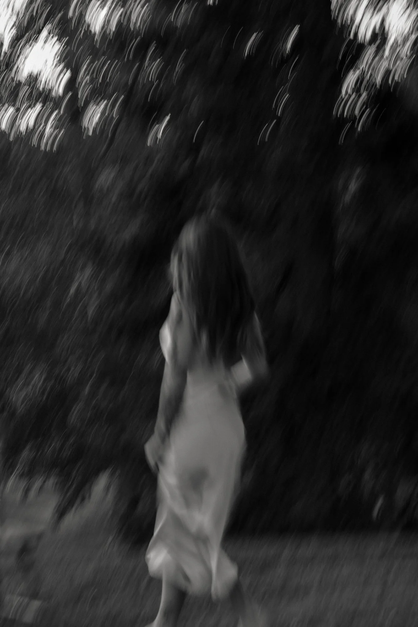 DSCF6039.JPG