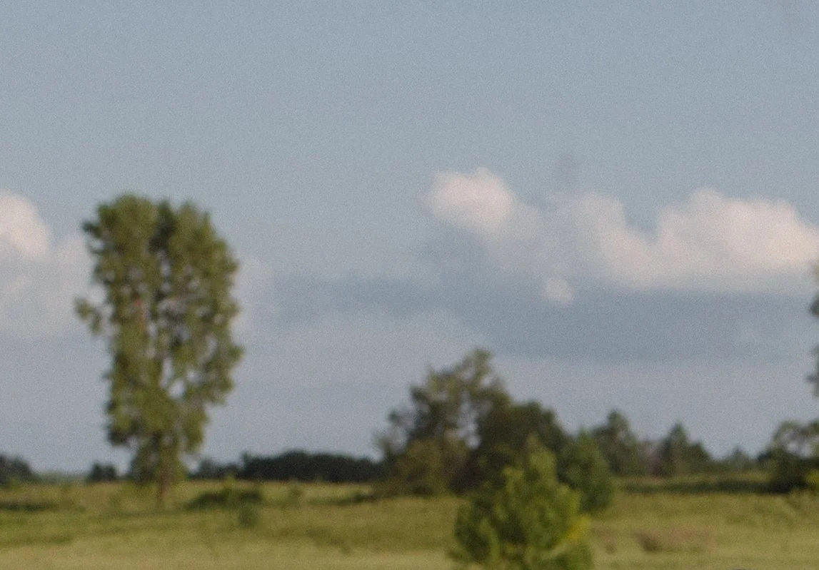 A landscape with trees, grassy fields, and a cloudy sky.