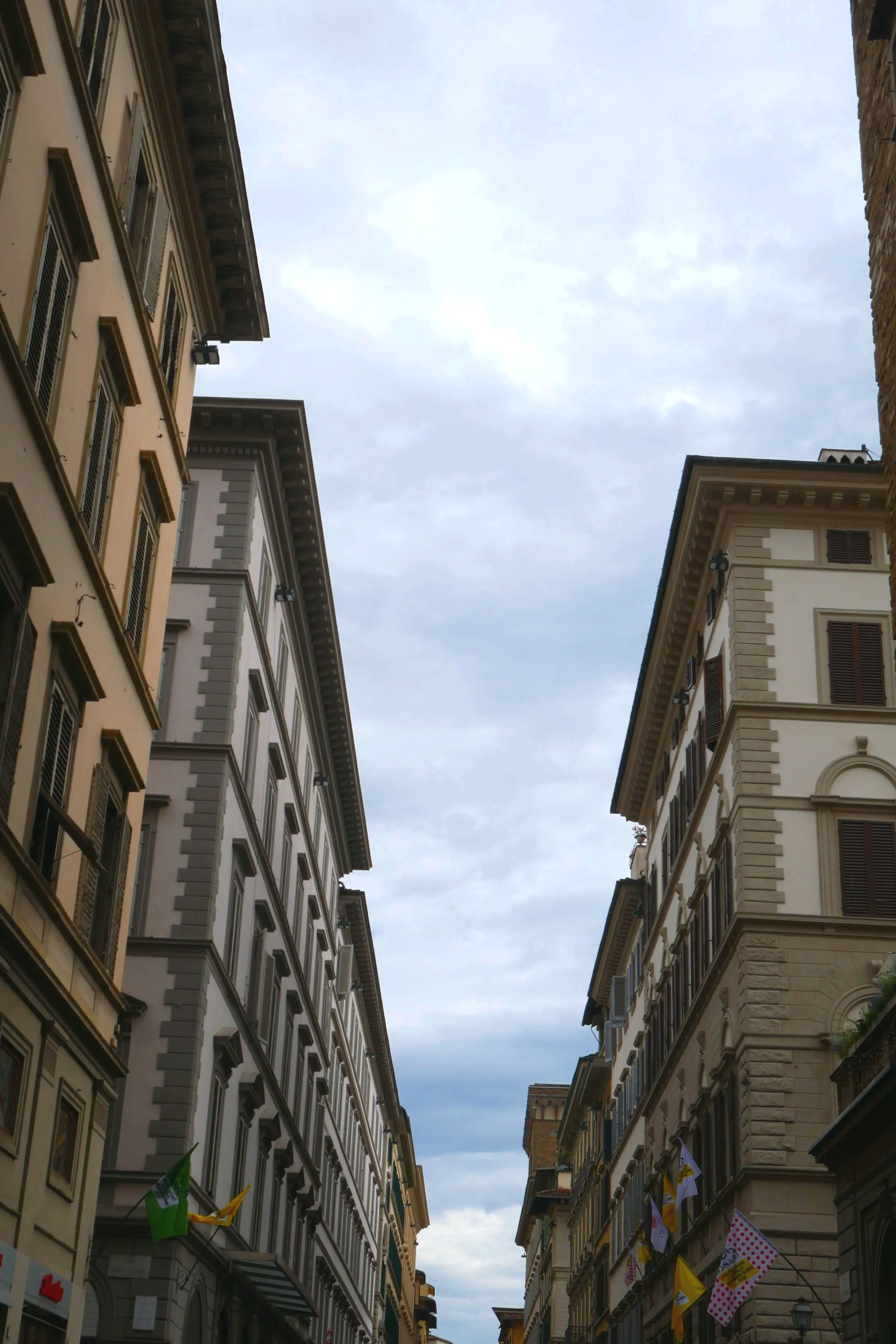 P1040185.png