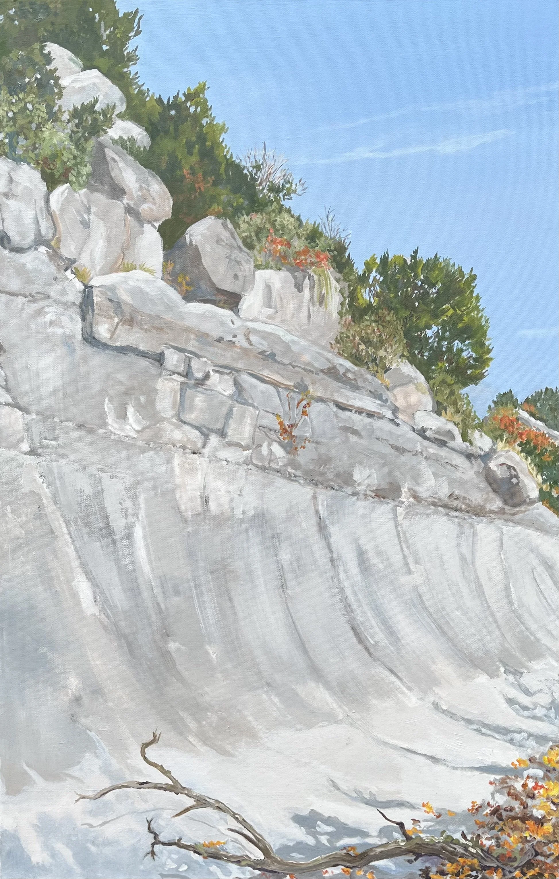 A landscape painting of a rocky hillside with green trees and shrubs at the top, and a fallen tree branch with autumn leaves at the bottom, under a blue sky.