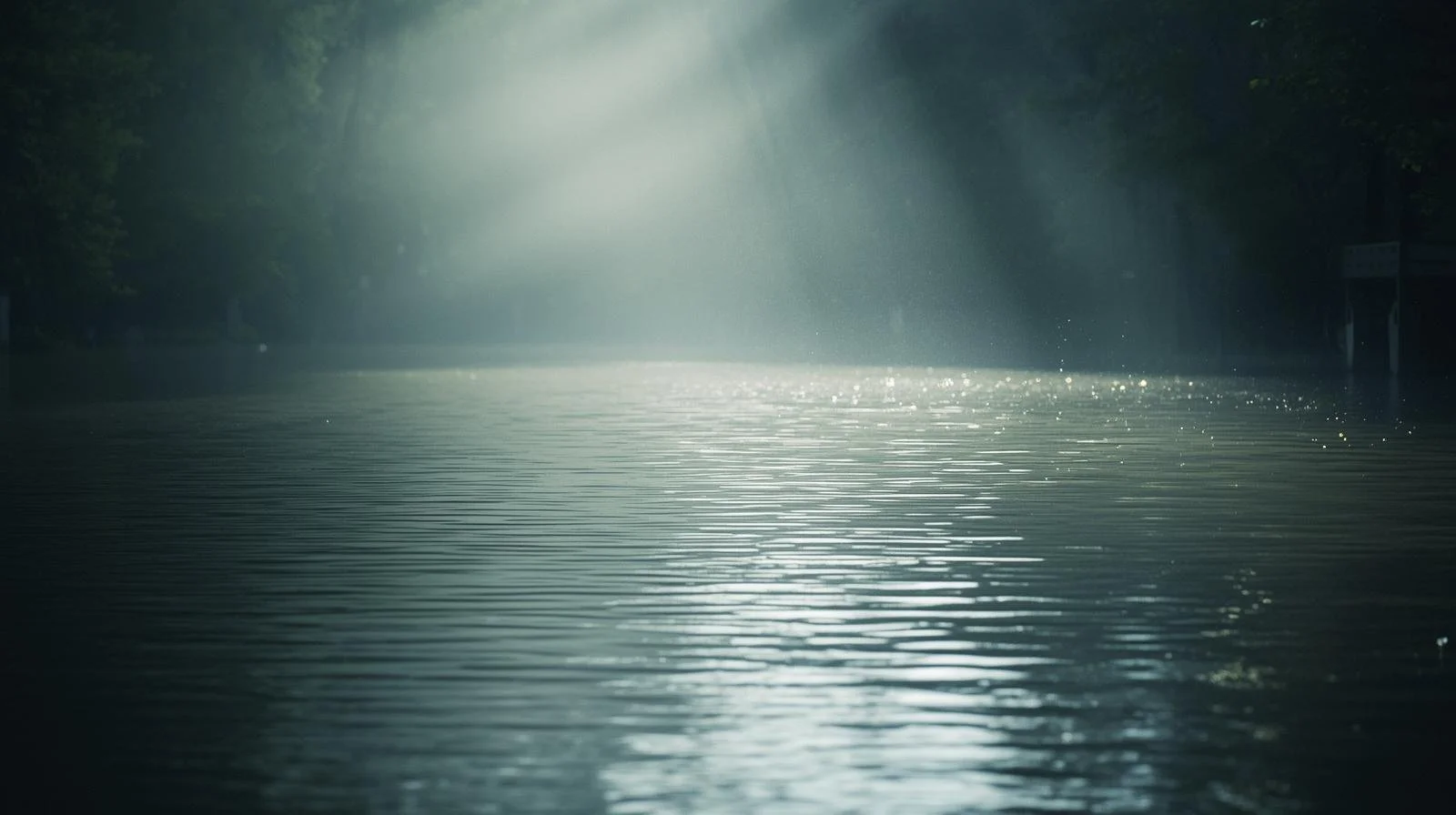 Extended Spiritual/Grief Counseling Session