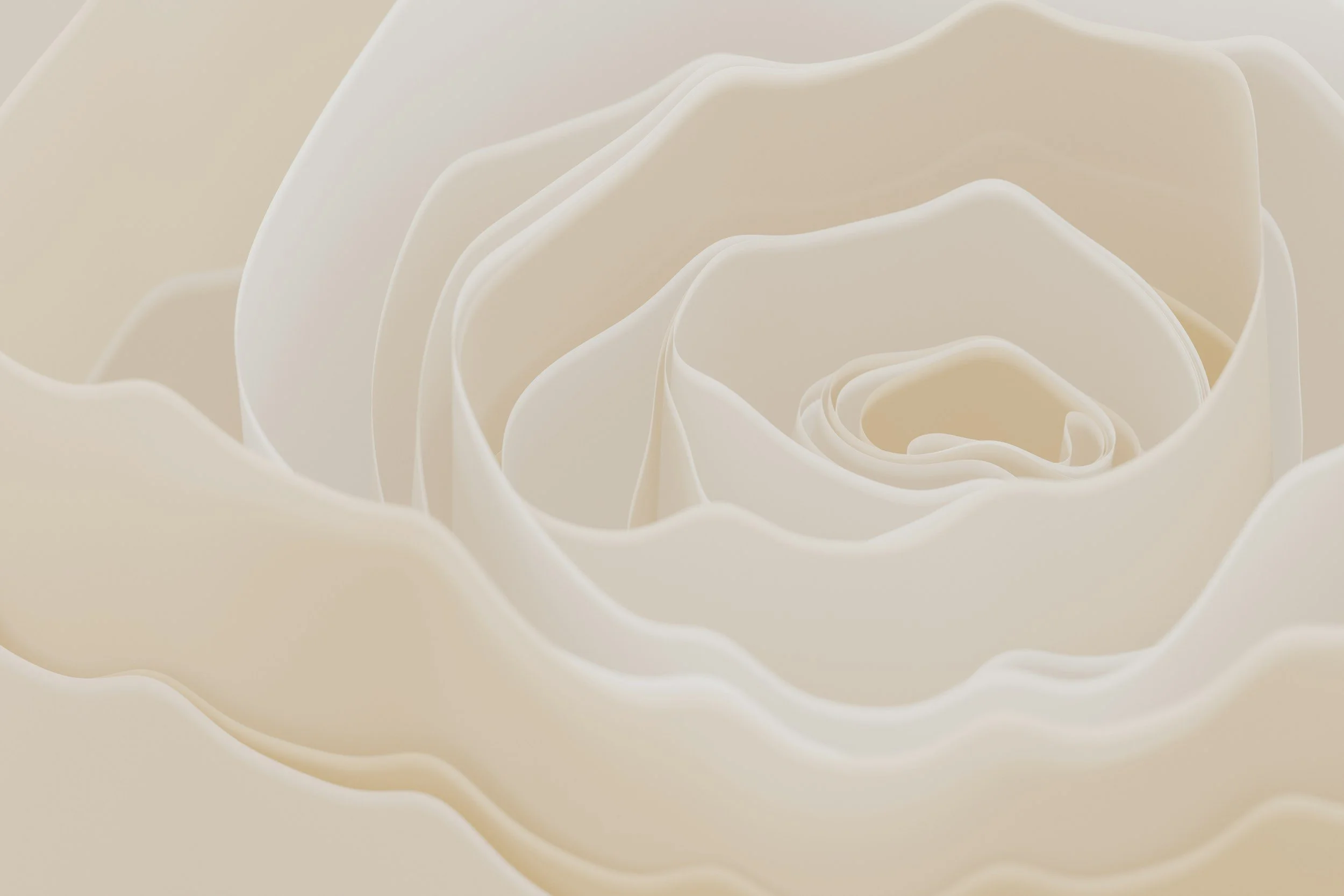 Close-up of a white rose with detailed, layered petals.