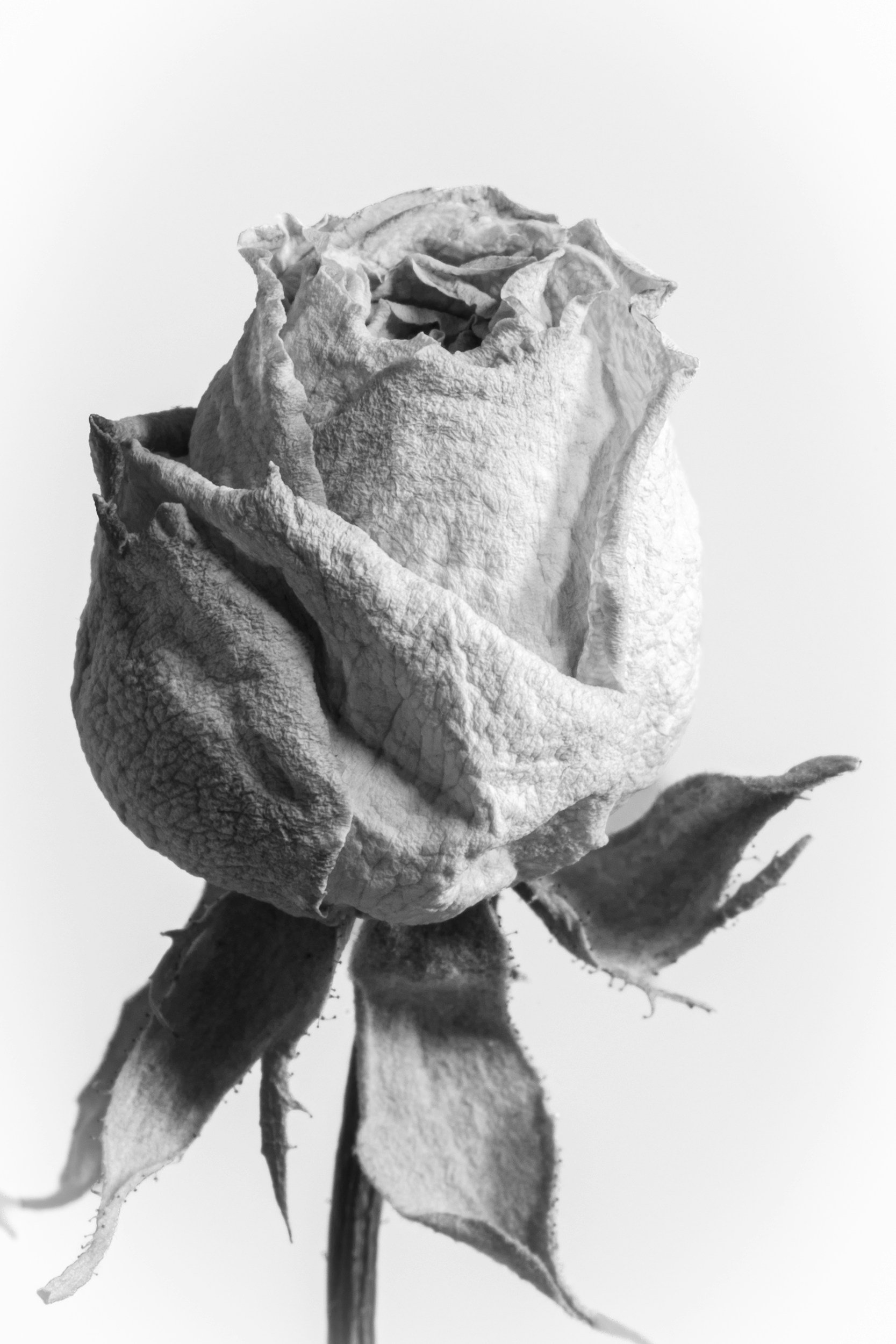 A Mother’s Story of Sudden Loss