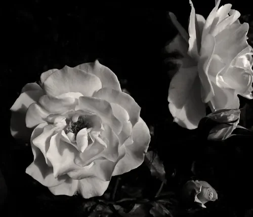 Grief is sacred work