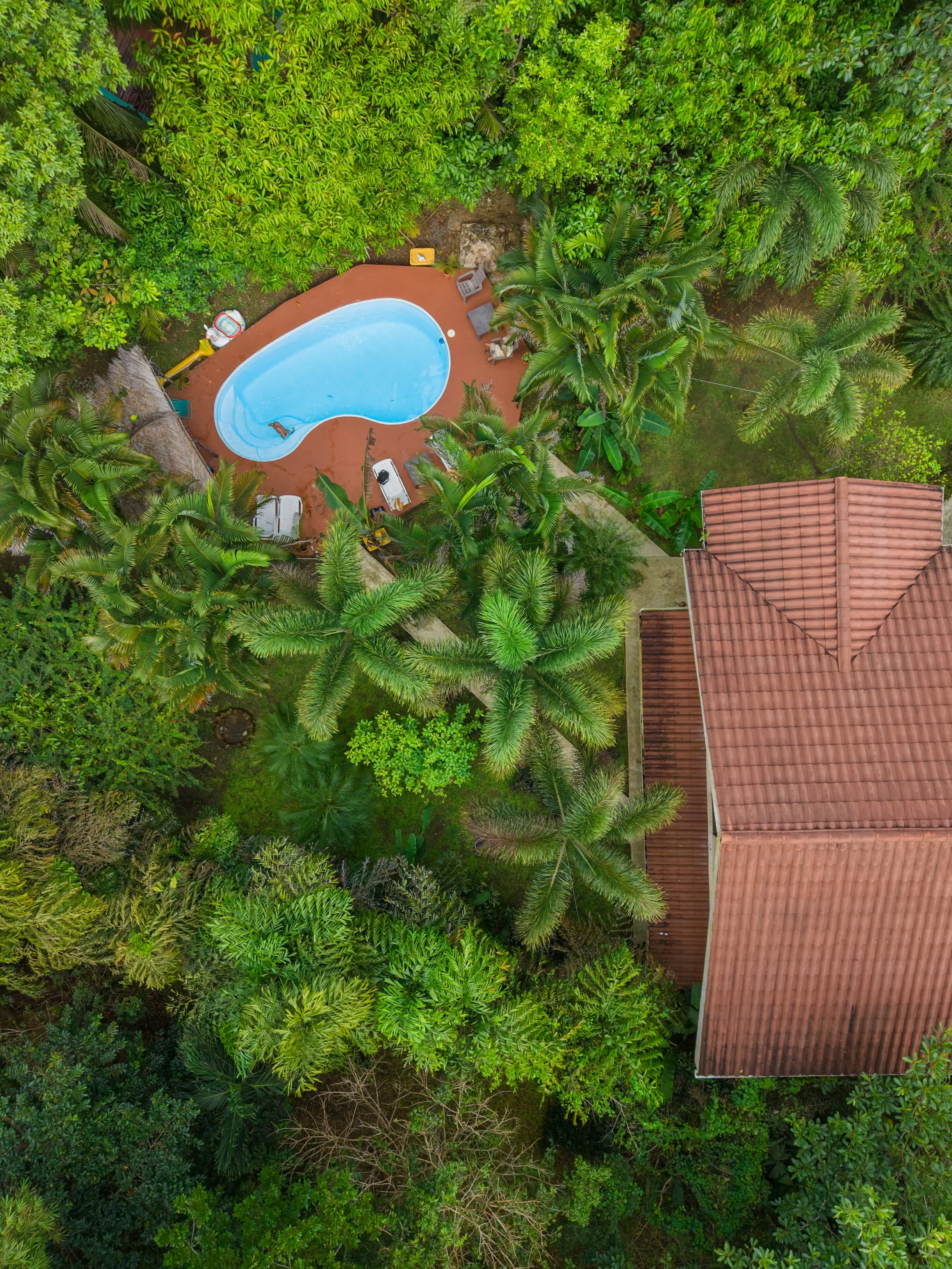 DJI_20260203153048_0361_D 2.JPEG