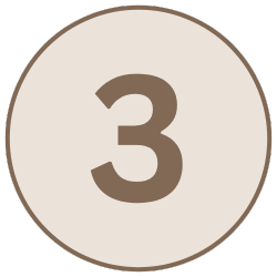 Number 3 on a beige background inside an oval border.