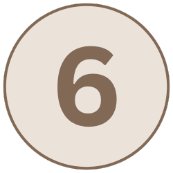 Number 6 inside a beige circle with a dark border