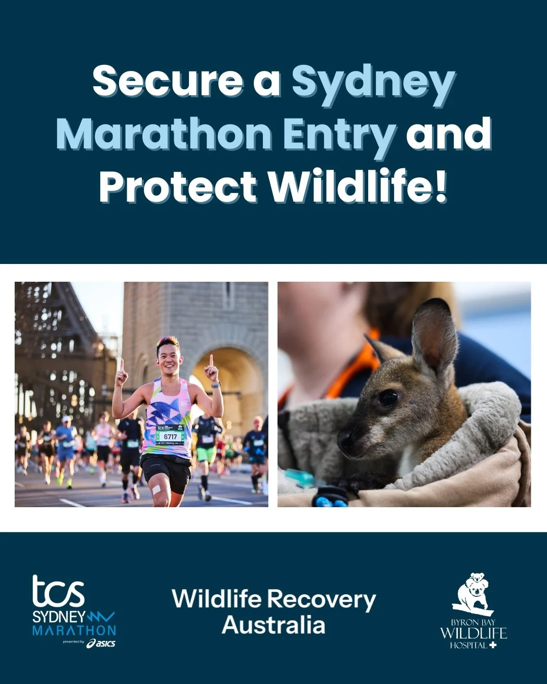 Missed out on a Sydney Marathon entry? Don’t worry — we’ve got you covered! 💚
Join Team Wildlife Recovery Australia and apply to secure a guaranteed marathon spot while raising vital funds to protect Australia’s unique and p