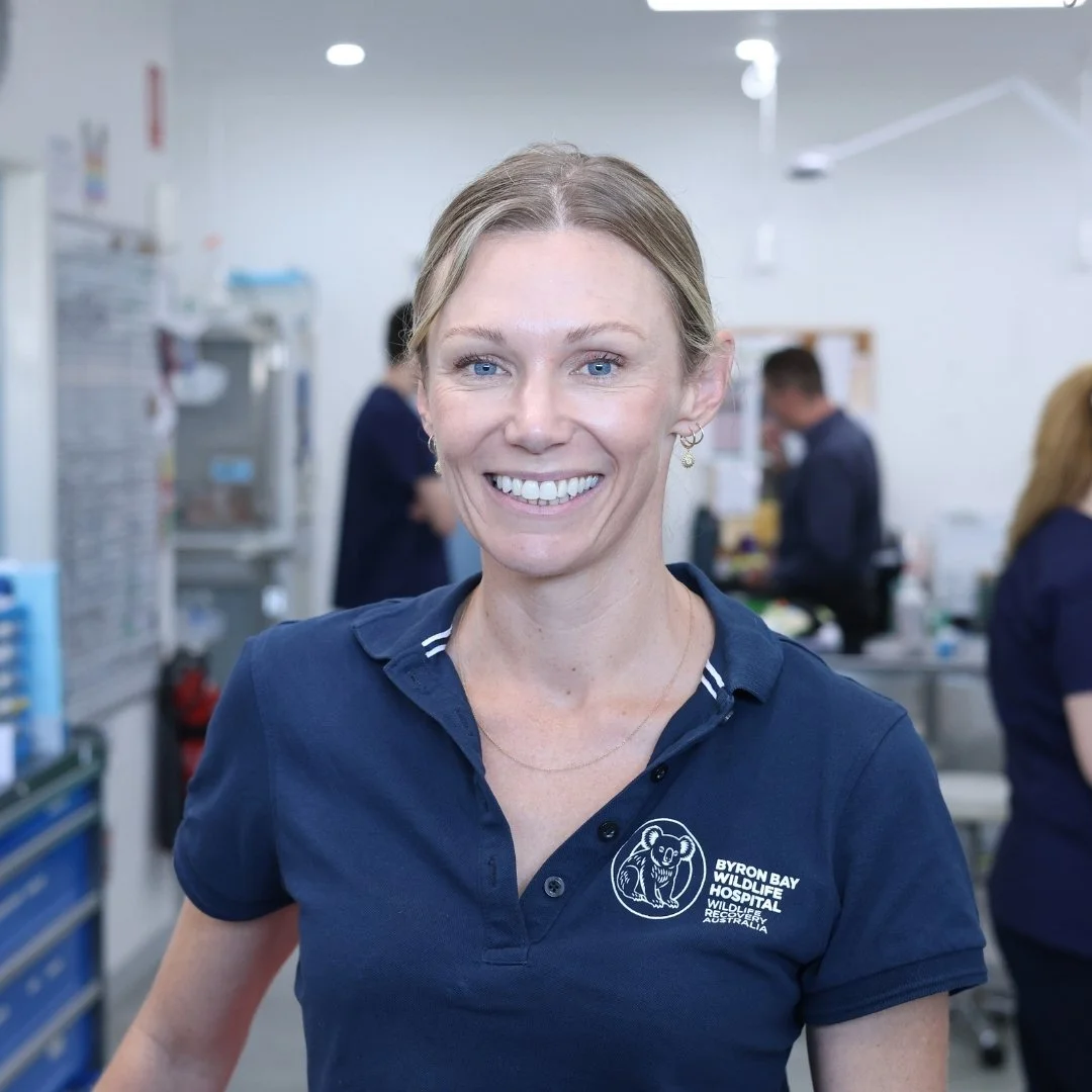 It takes visionary leaders to champion positive welfare outcomes for sick, injured, and orphaned wildlife, wherever they need it.🐨

Recognising the dedication and commitment to wildlife care, our CEO Dr Stephen Van Mil has recently been appointed to