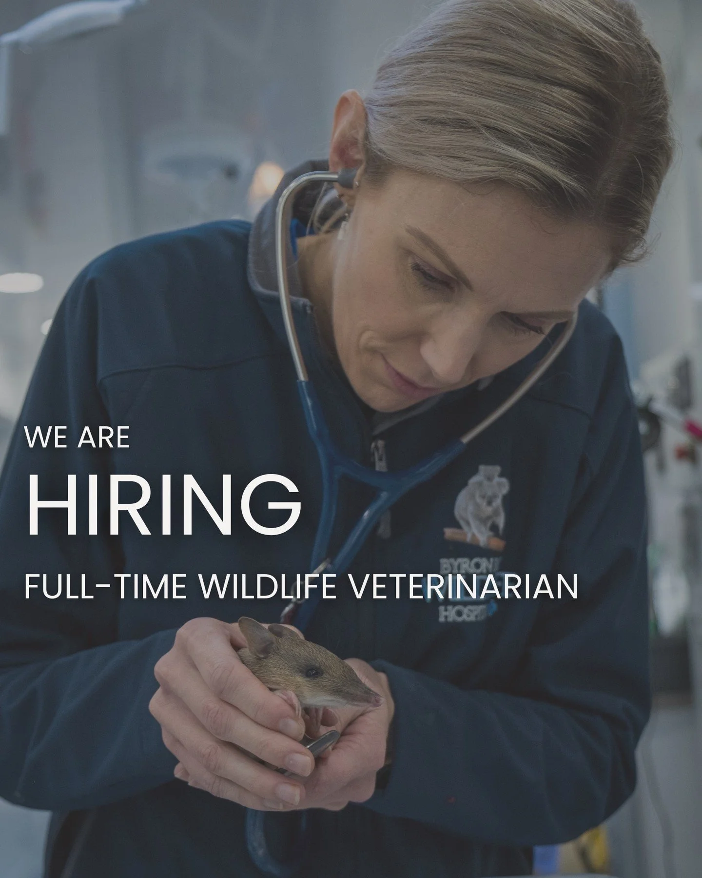 Are you a qualified veterinarian looking 👀 for an exciting new chapter in your career?
Do you have a passion for wildlife medicine and conservation?🦎

✨We are HIRING!✨

We are looking for an experienced veterinarian to join our team at our wildlife