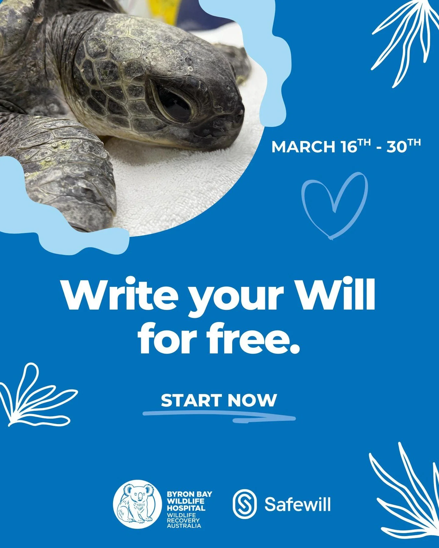 🦘 It&rsquo;s here! From 16th-30th March, you can write your legally binding Will online for FREE with Safewill &mdash; a quick, secure way to protect your loved ones and Australia&rsquo;s precious wildlife.

It only takes 20 minutes to create peace 