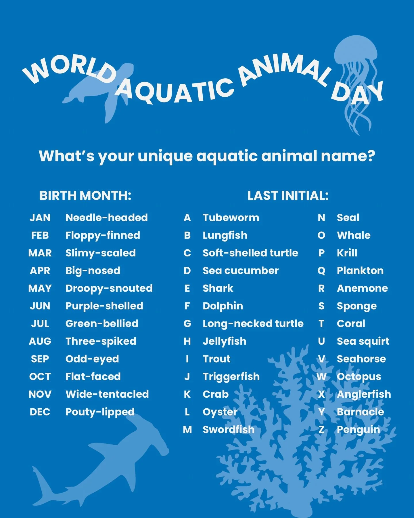 🦑What&rsquo;s your unique aquatic animal name?

Today is World Aquatic Animal Day! 🐠

Today we not only celebrate the incredible diversity of life that call the oceans, seas, rivers, lakes and ponds home, but also highlight how vitally important aq
