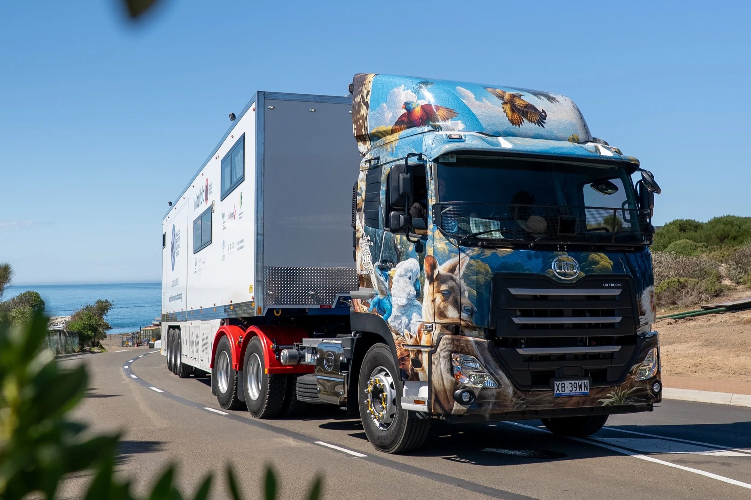 Bird flu escalation demands national mobile wildlife hospital network