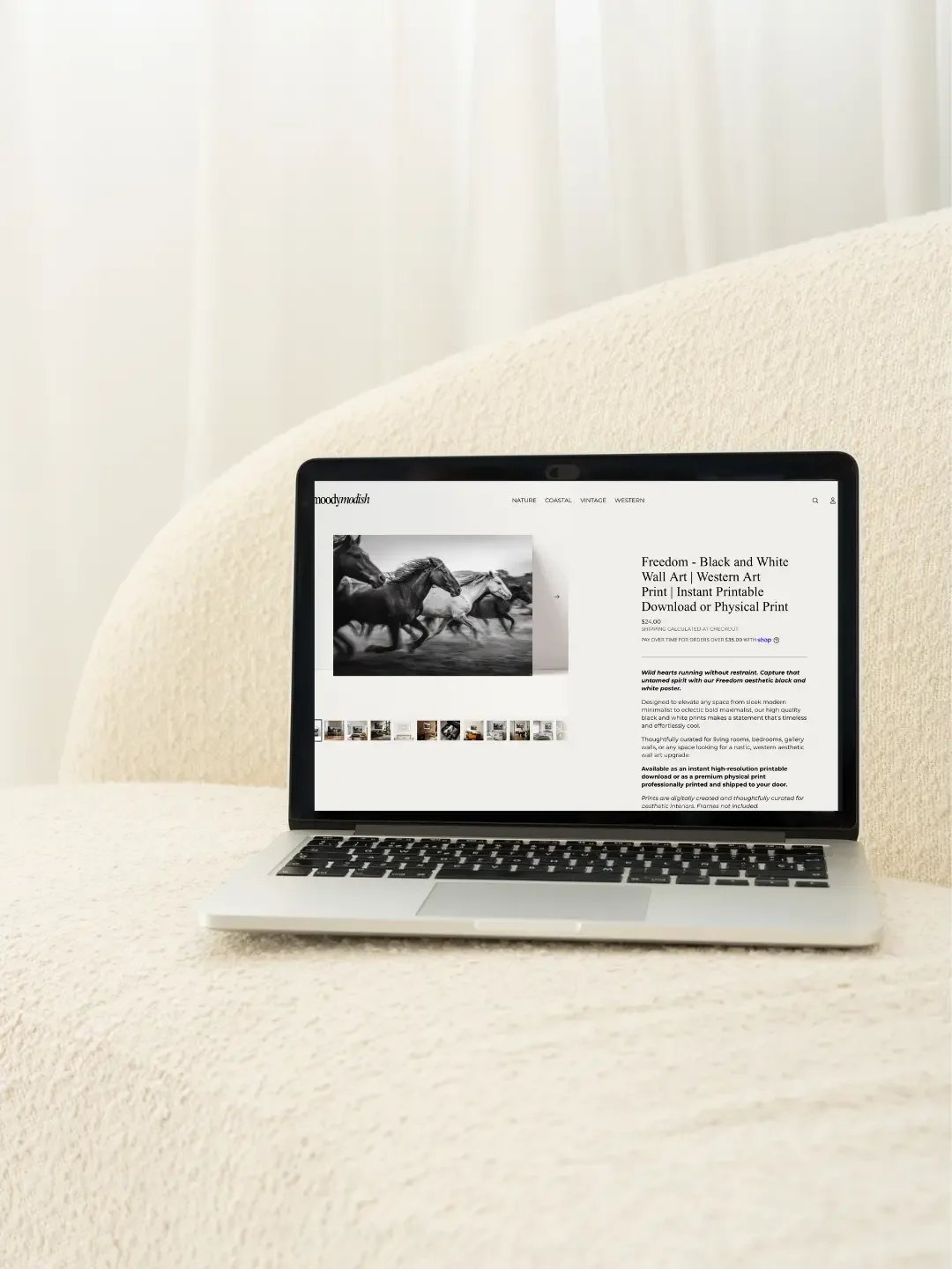 shopify store design MacBook presentation done by 808 digital studio