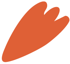 Illustration of a single orange carrot.