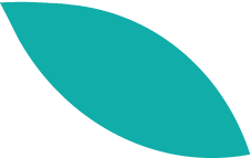 A single teal-green leaf against a black background.