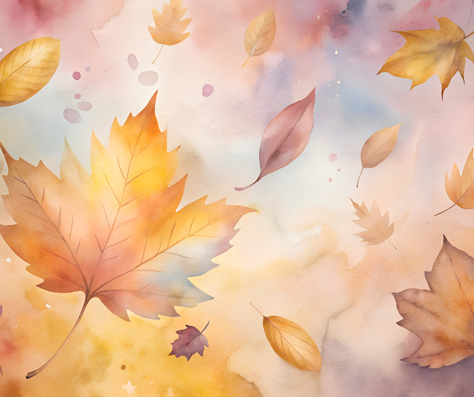 The Quiet Season of Gratitude