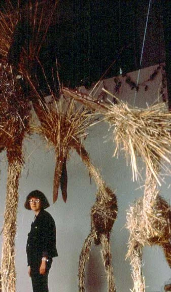 Birds, 1986. mixed-media, sculptural installation