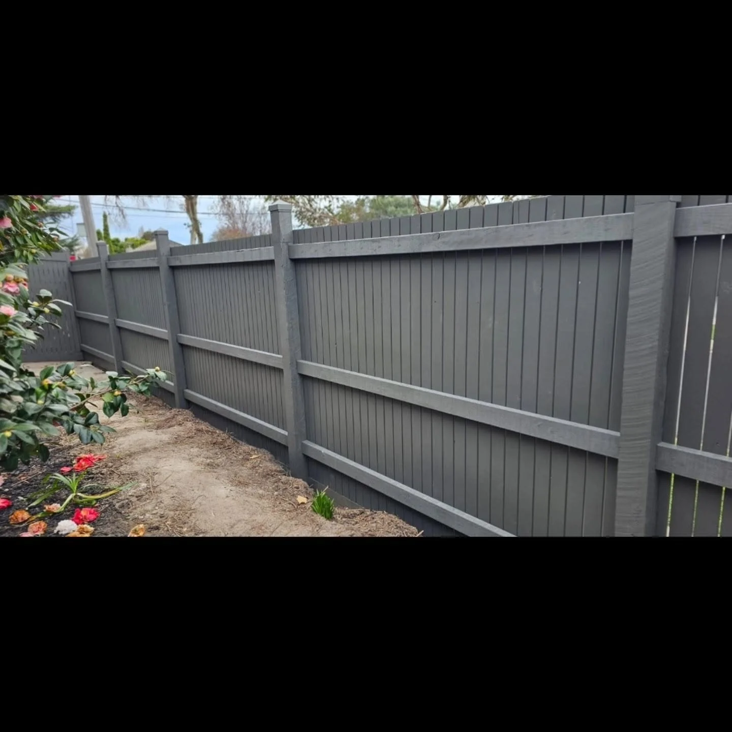 Timber fence repainting and restoration in Mentone