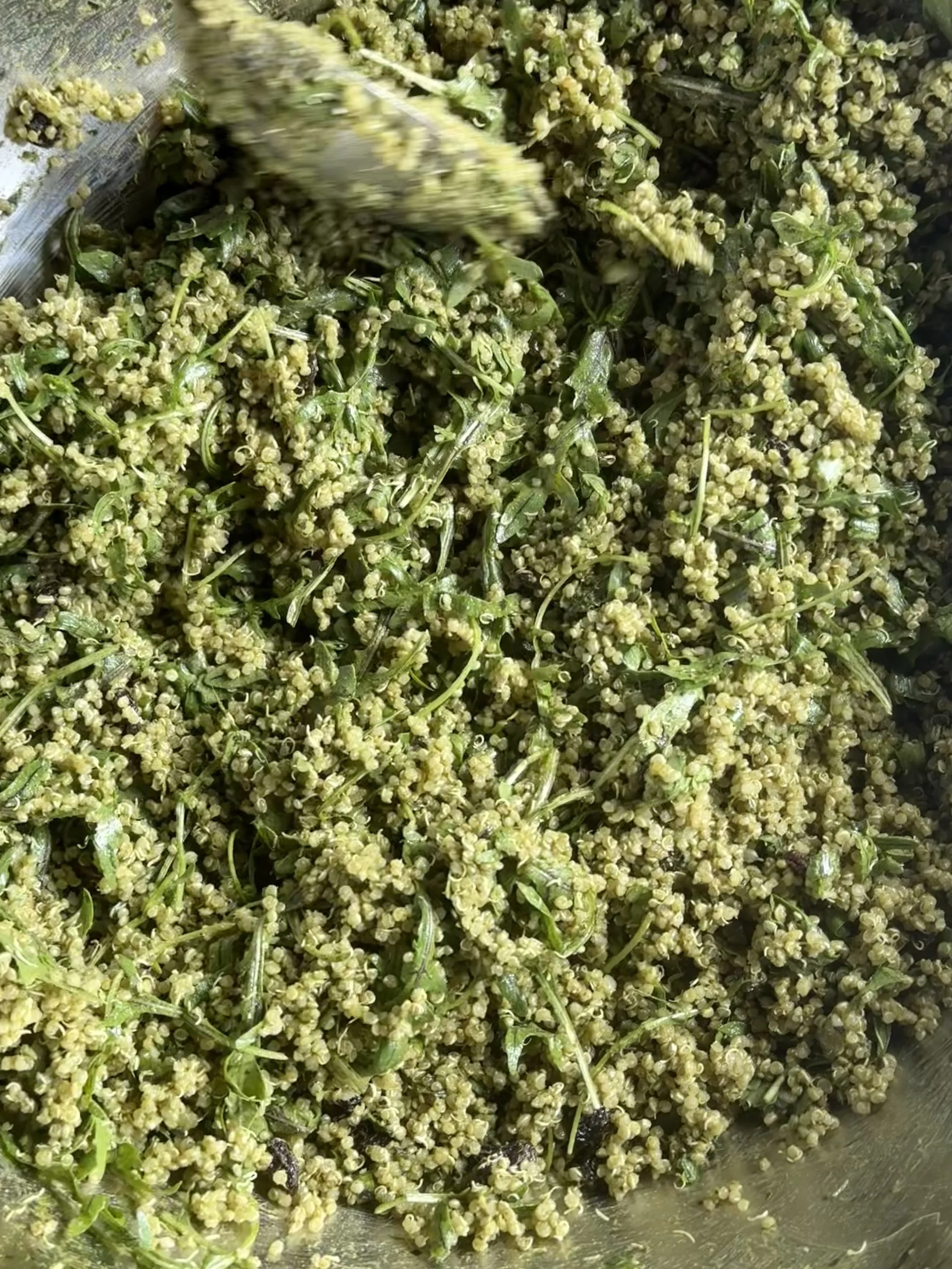 Basil Pesto Quinoa Salad