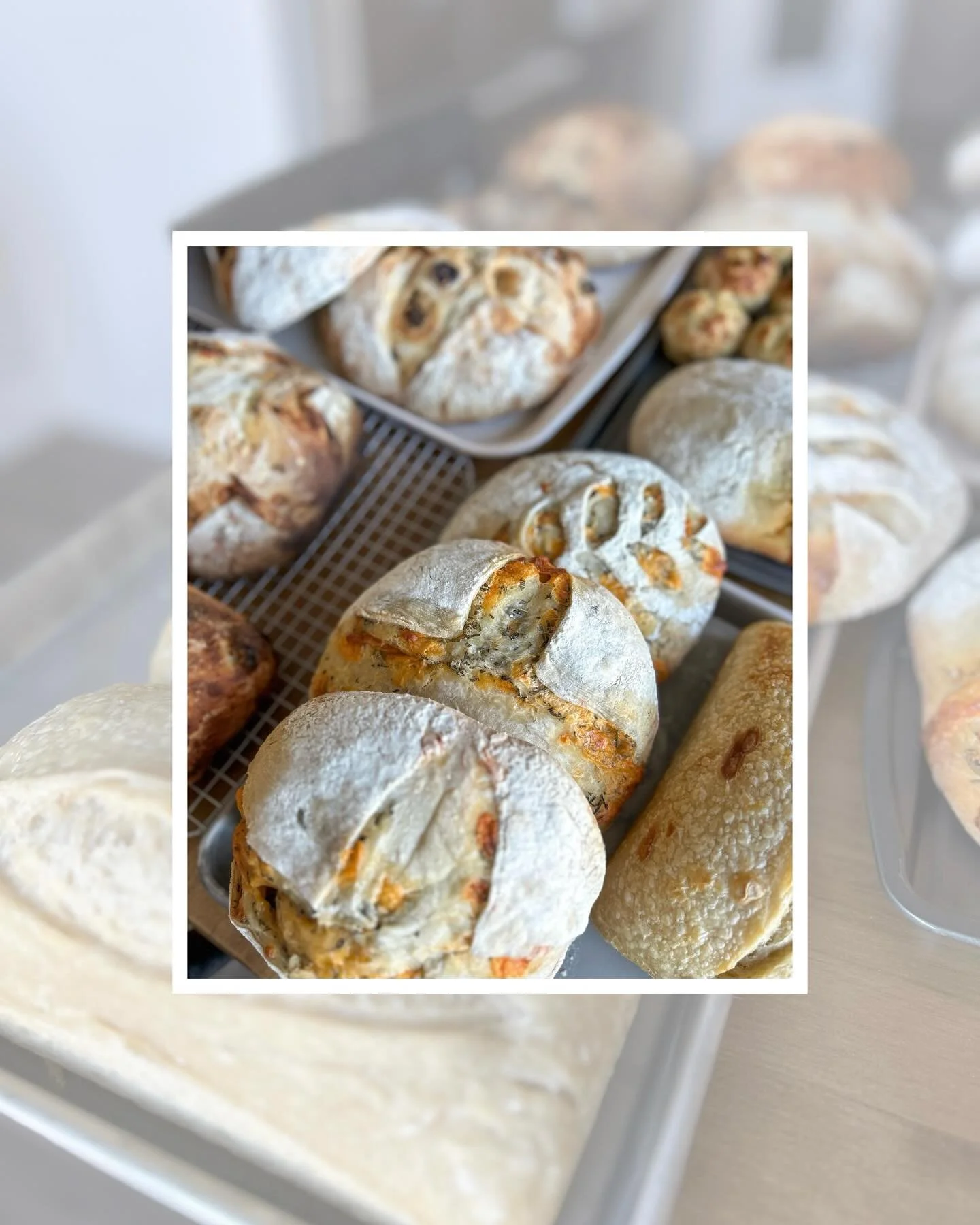 Been a bit quiet on social media these last few days only because we are baking like crazy for our pop-up TOMORROW✨ 

Y&rsquo;all knocked pre-ordering out of the park so we are loading up on additional loaves today 🍞 cannot wait to see everyone for 