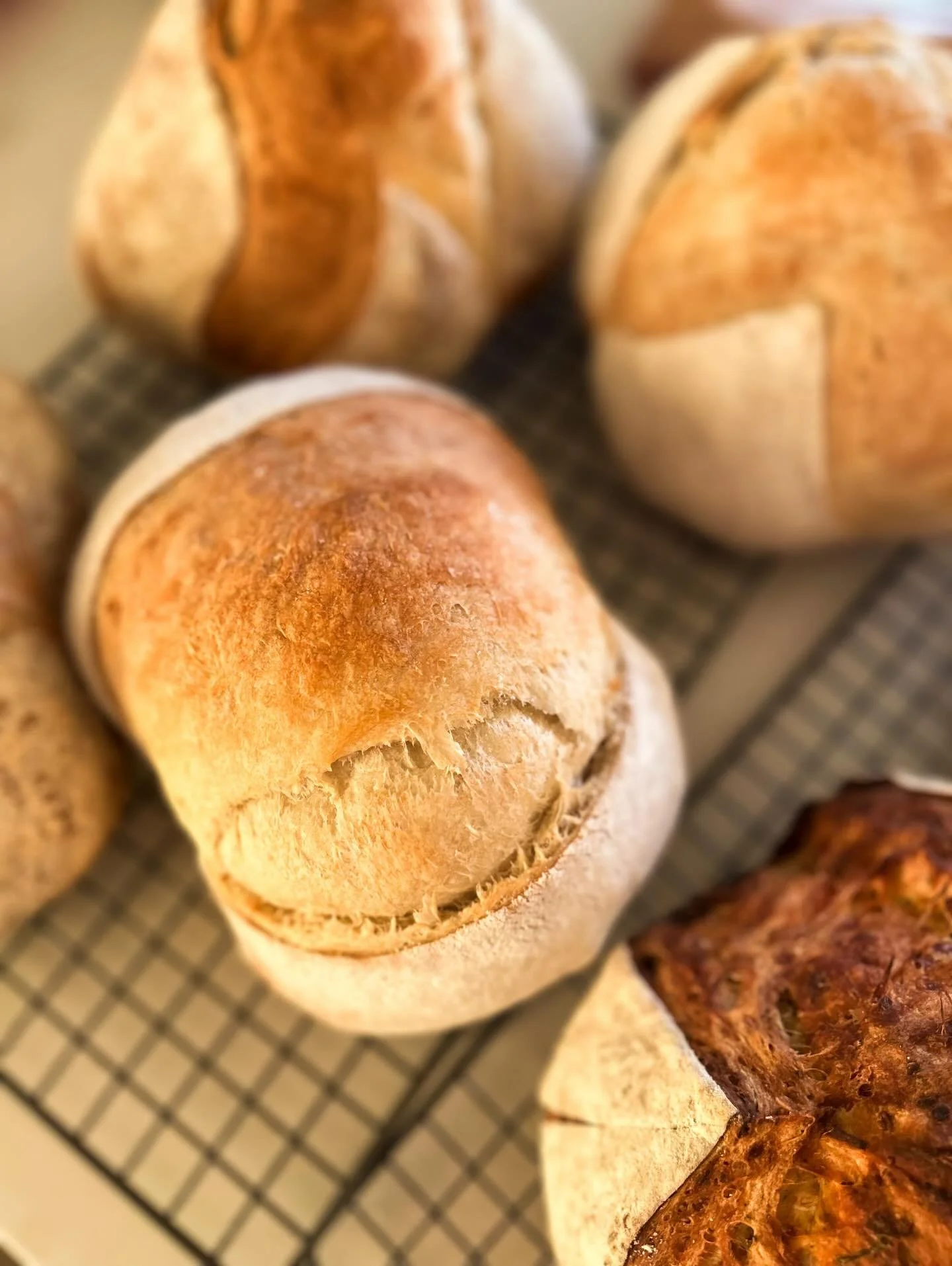🍞 Almost ready for this weekend✨
Willamette Heritage Center | 10a to 3p | Loaves, Bagels, + Cookies 🍪 

👀 Two new cookies drop on our menu by 8p TOMORROW 🙌 we will have them available to purchase at our pop-up this Saturday + beyond 🤍