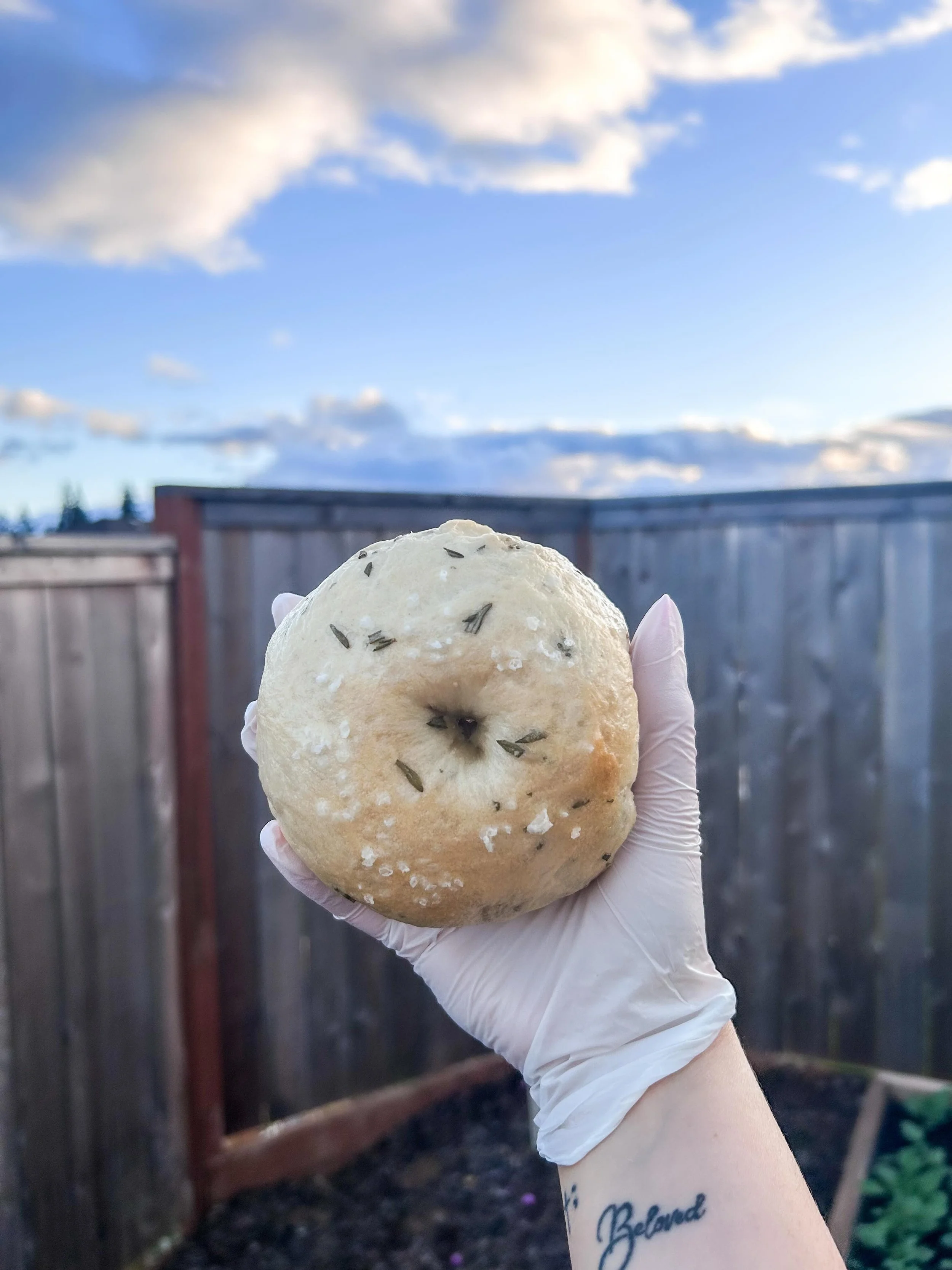 🌿 Rosemary + Sea Salt Sourdough Bagels &bull; 🥯 
Revamping our bagel recipe - think gourmet bagels, 170g instead of our original 120g miniature bagels. In love with how these have turned out! Newport and Dallas markets get these bagels as an option