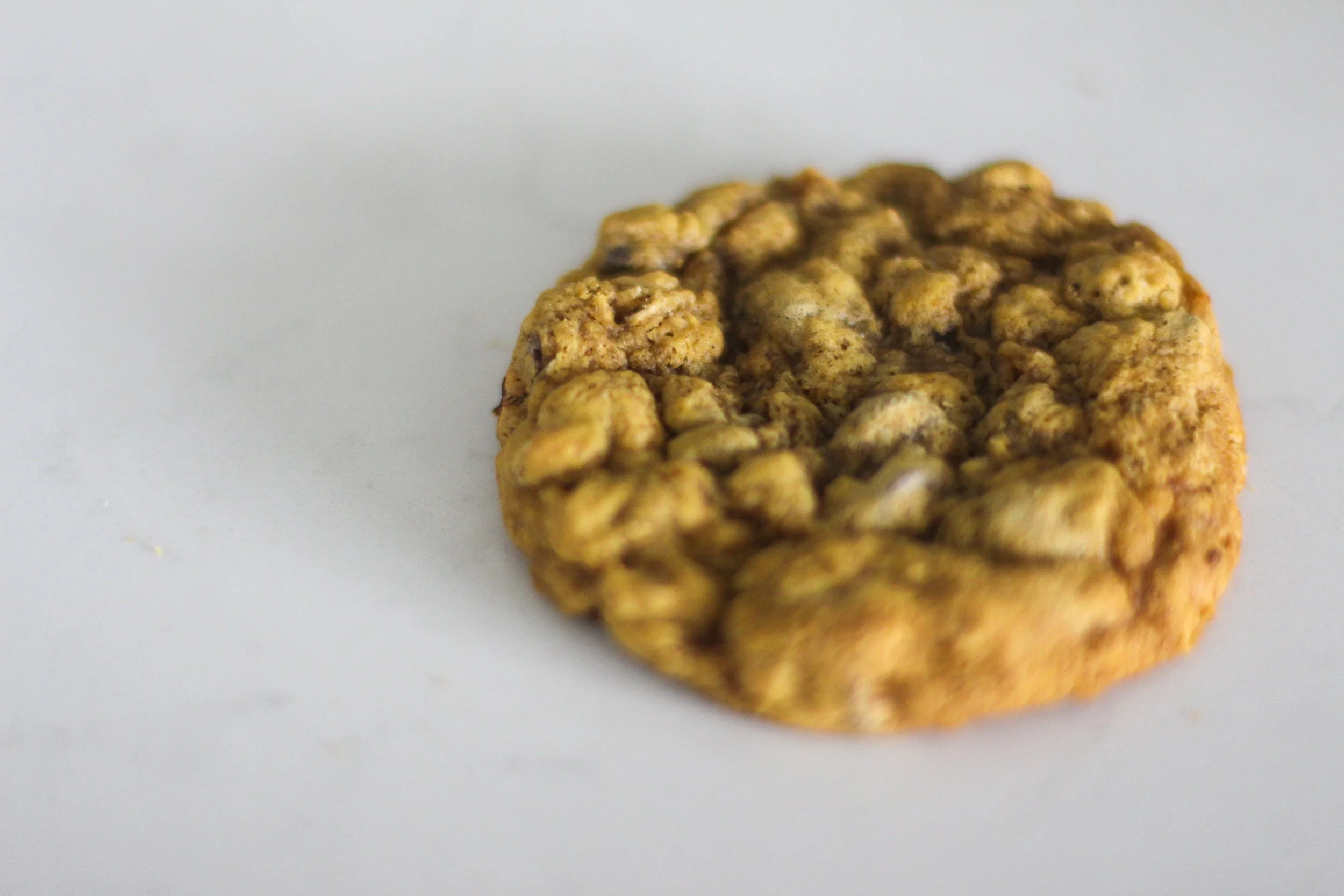 Brown Butter Pumpkin Oatmeal Chocolate Chip Sourdough Cookies