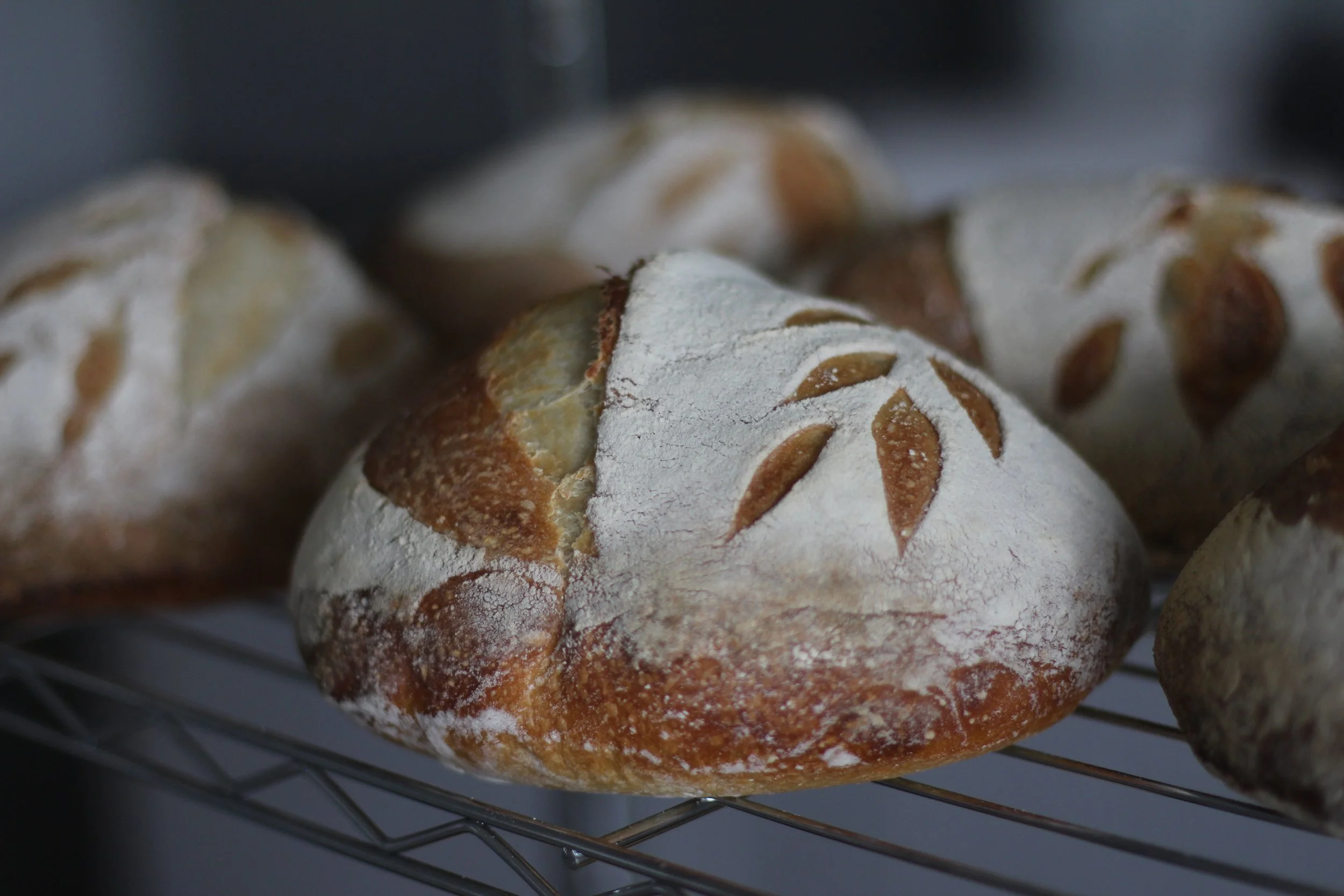 Original Sourdough Loaf
