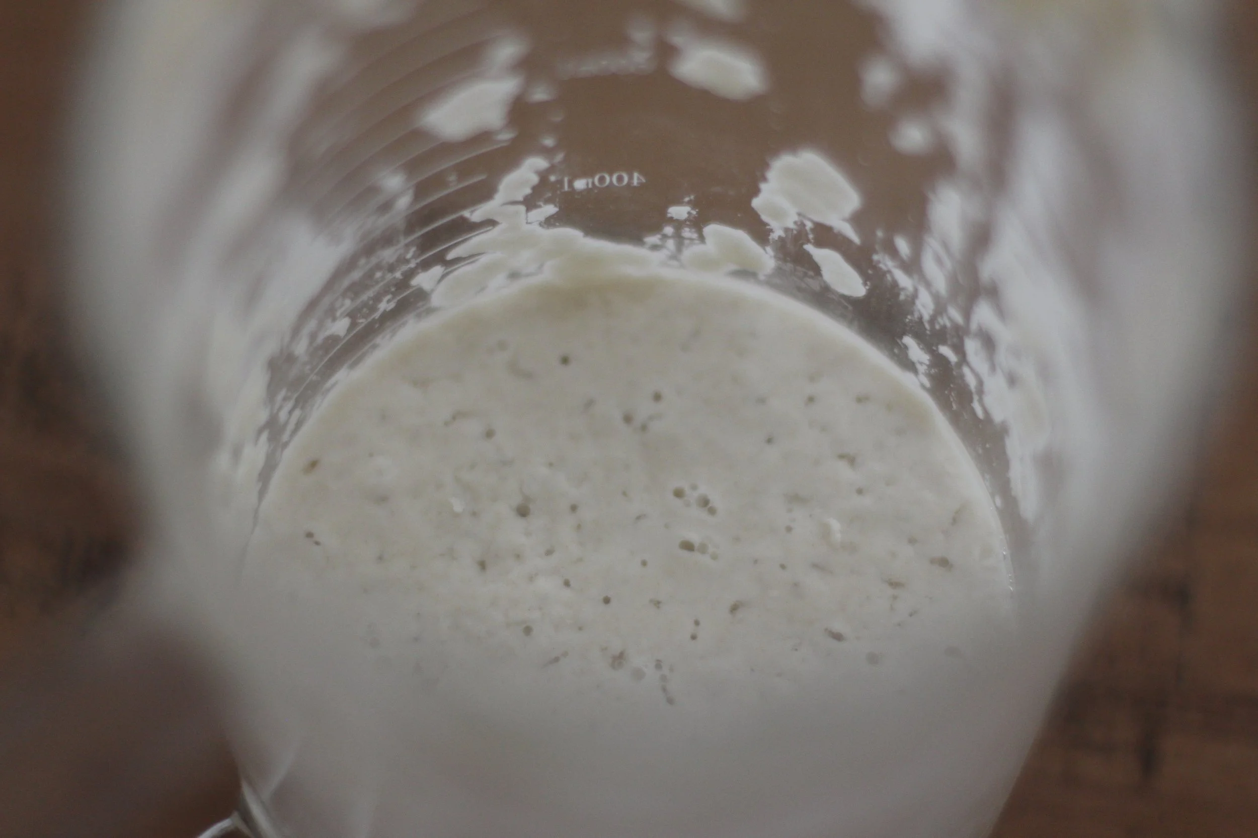Dehydrated Sourdough Starter